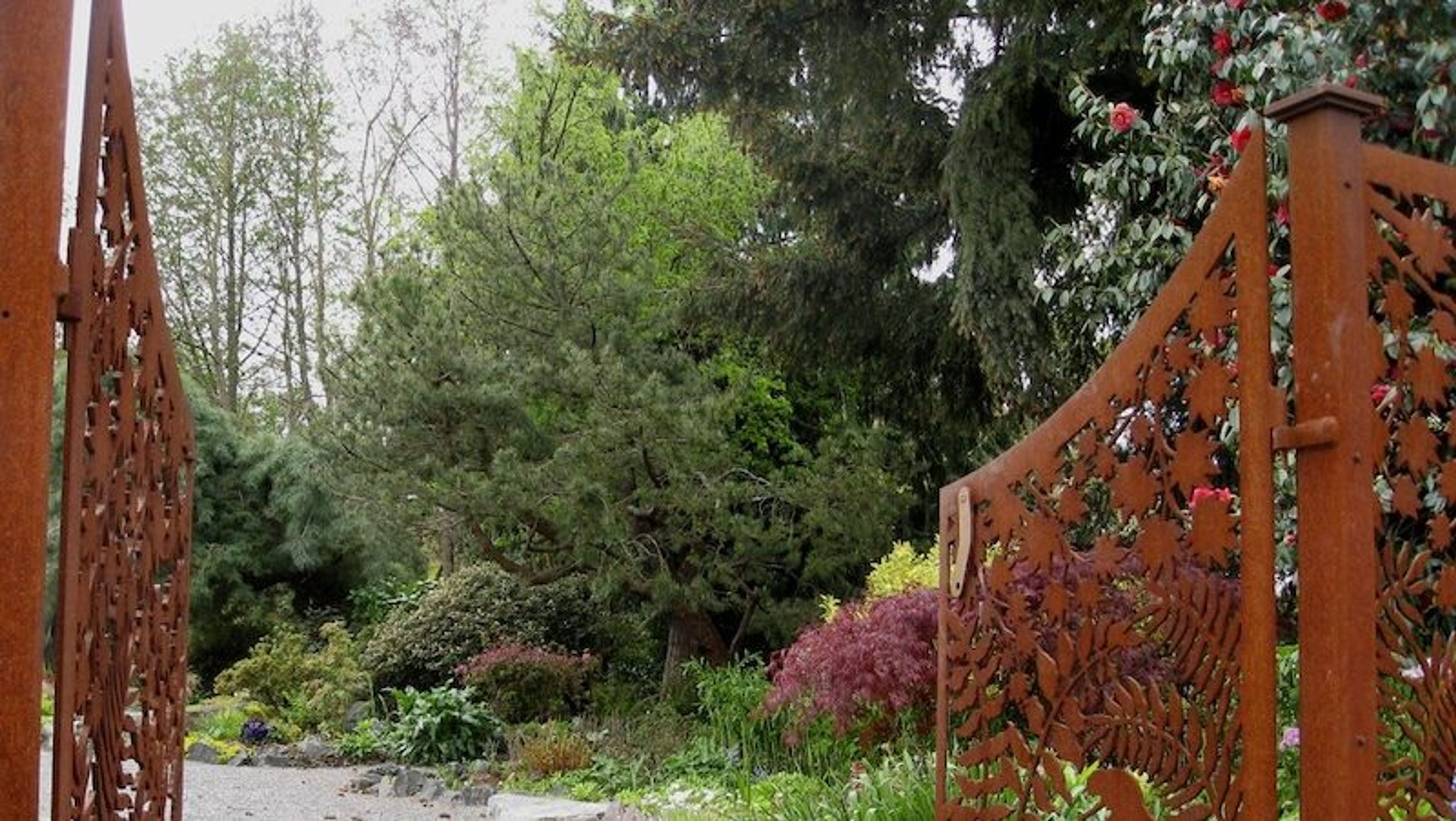 Featured photo from Highline SeaTac Botanical Garden