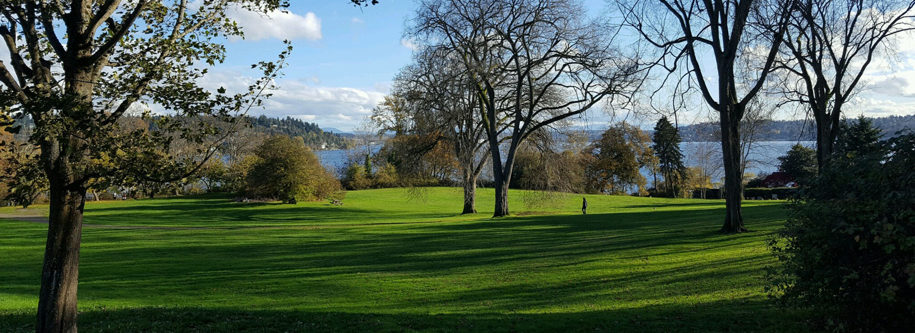 Featured photo from Martha Washington Park