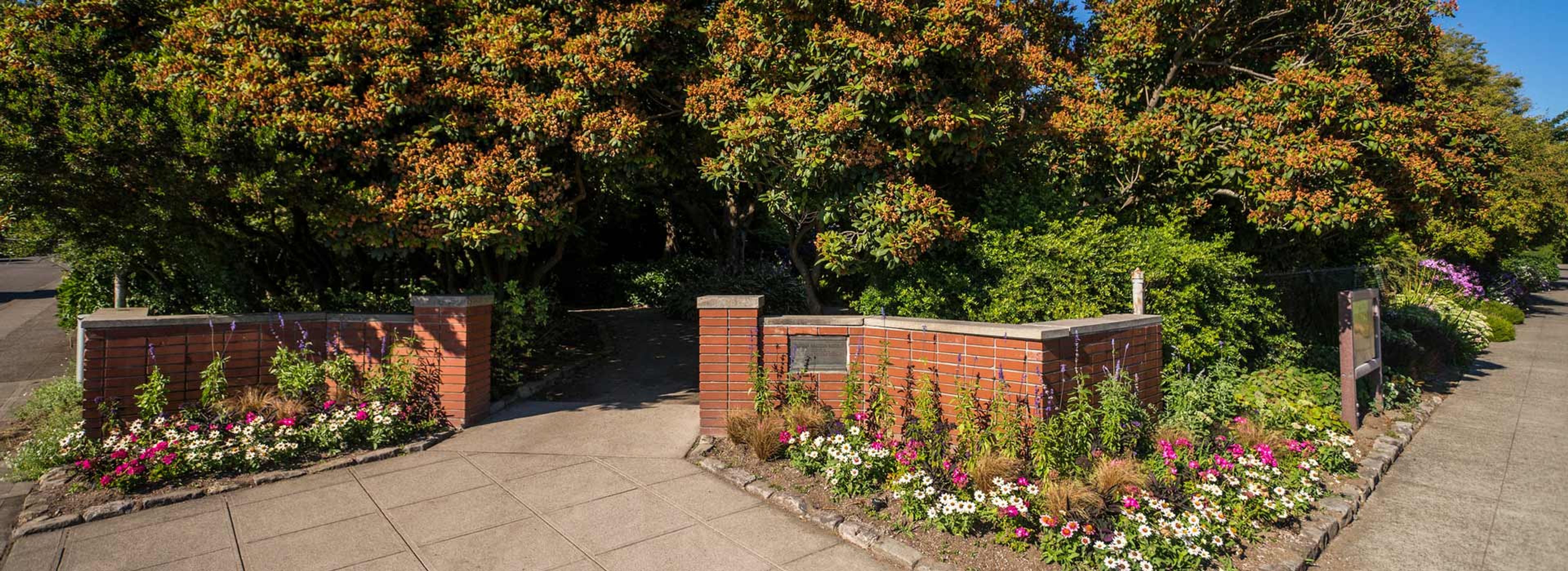 Featured photo from Parsons Garden