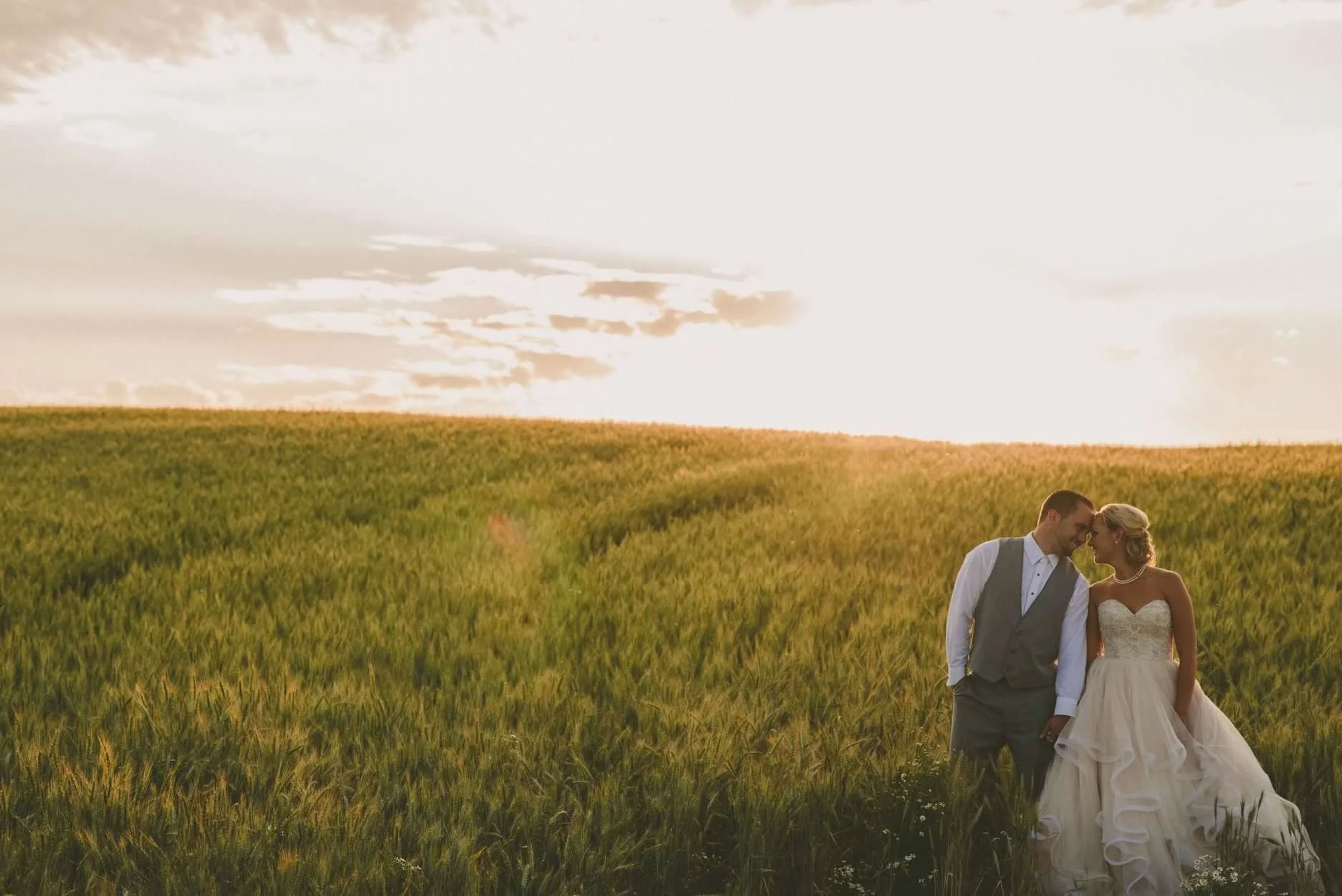 Featured photo from Red Barn Farms