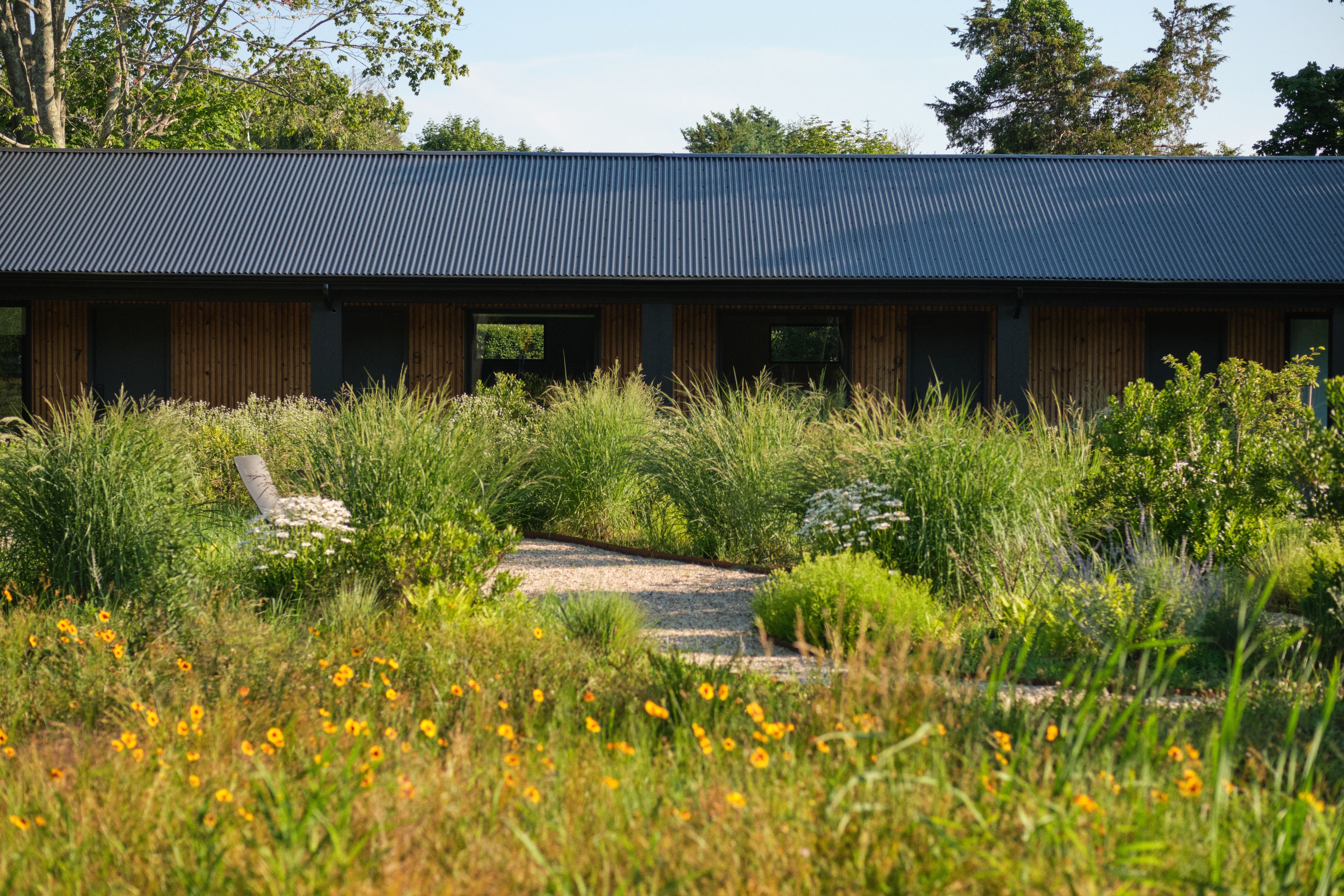 Cover photo of Three Ducks Westhampton