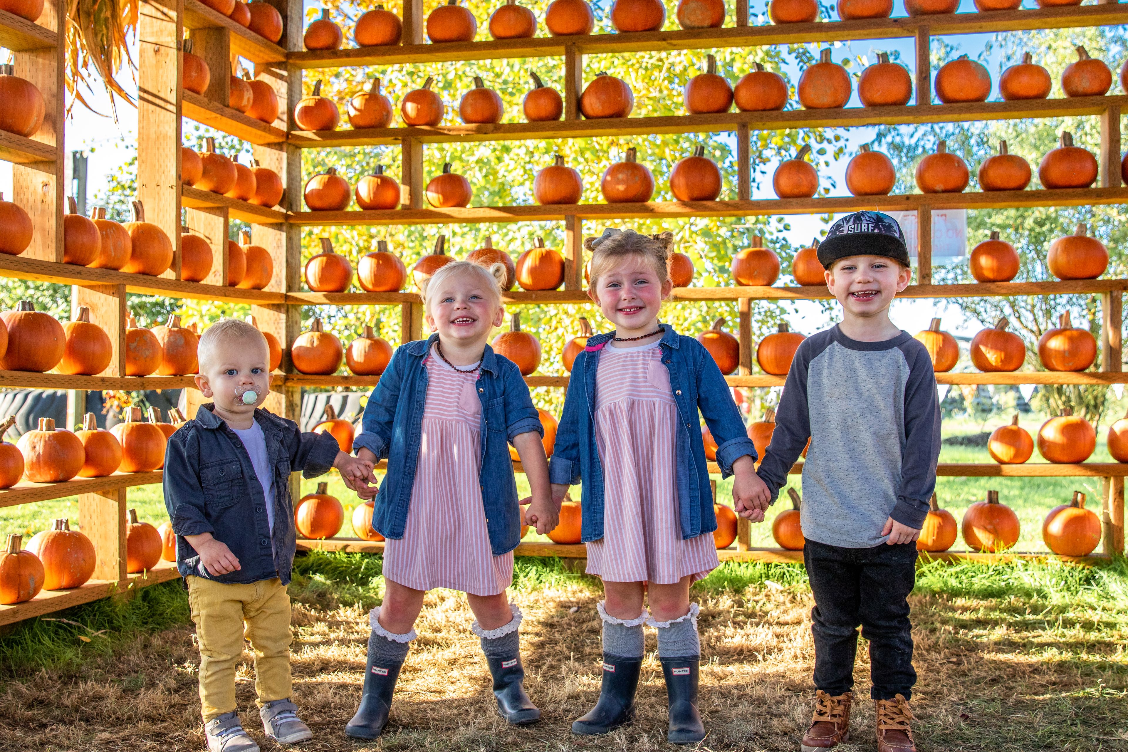 Featured photo from Snohomish Red Barn Events