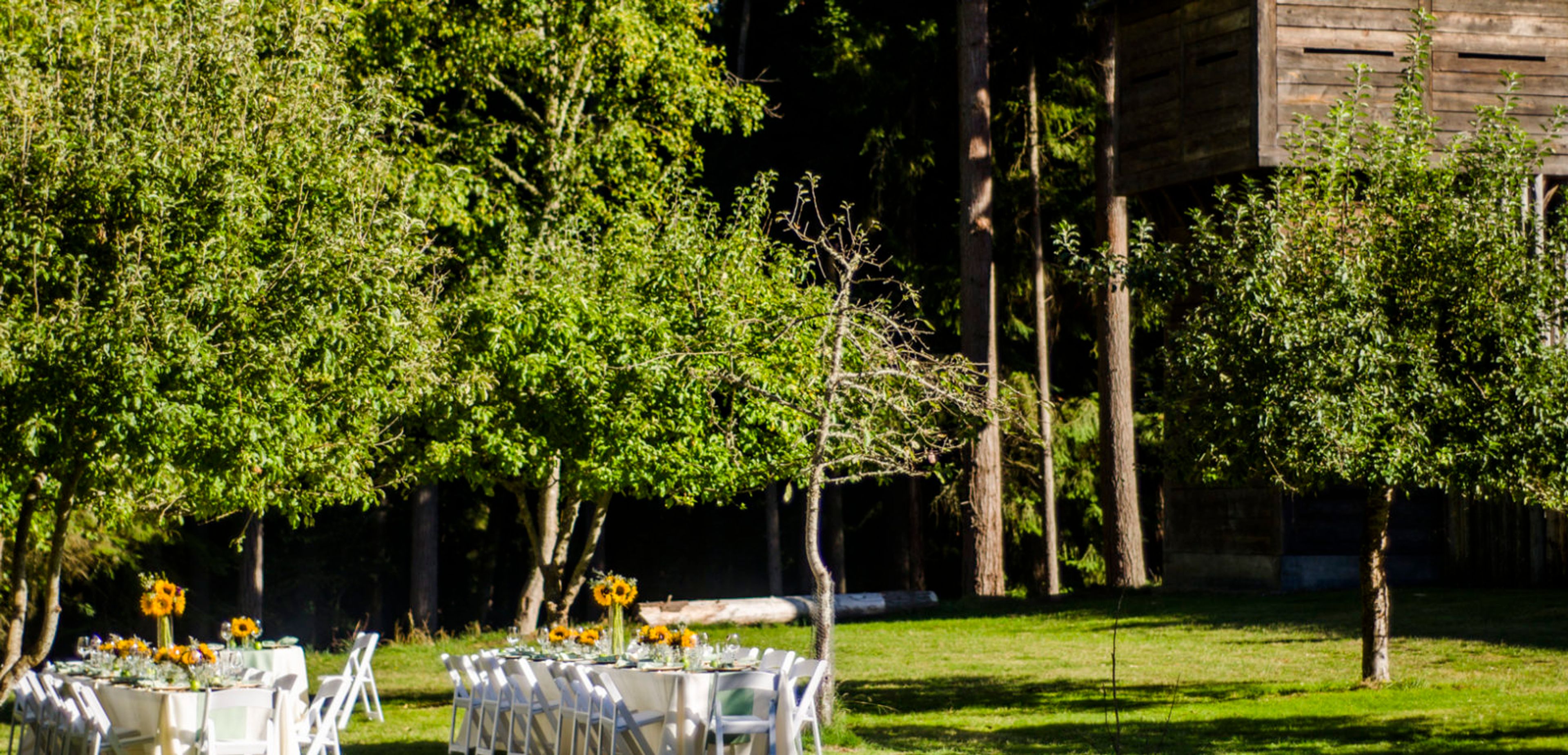 Featured photo from The Meadow at Fort Nisqually