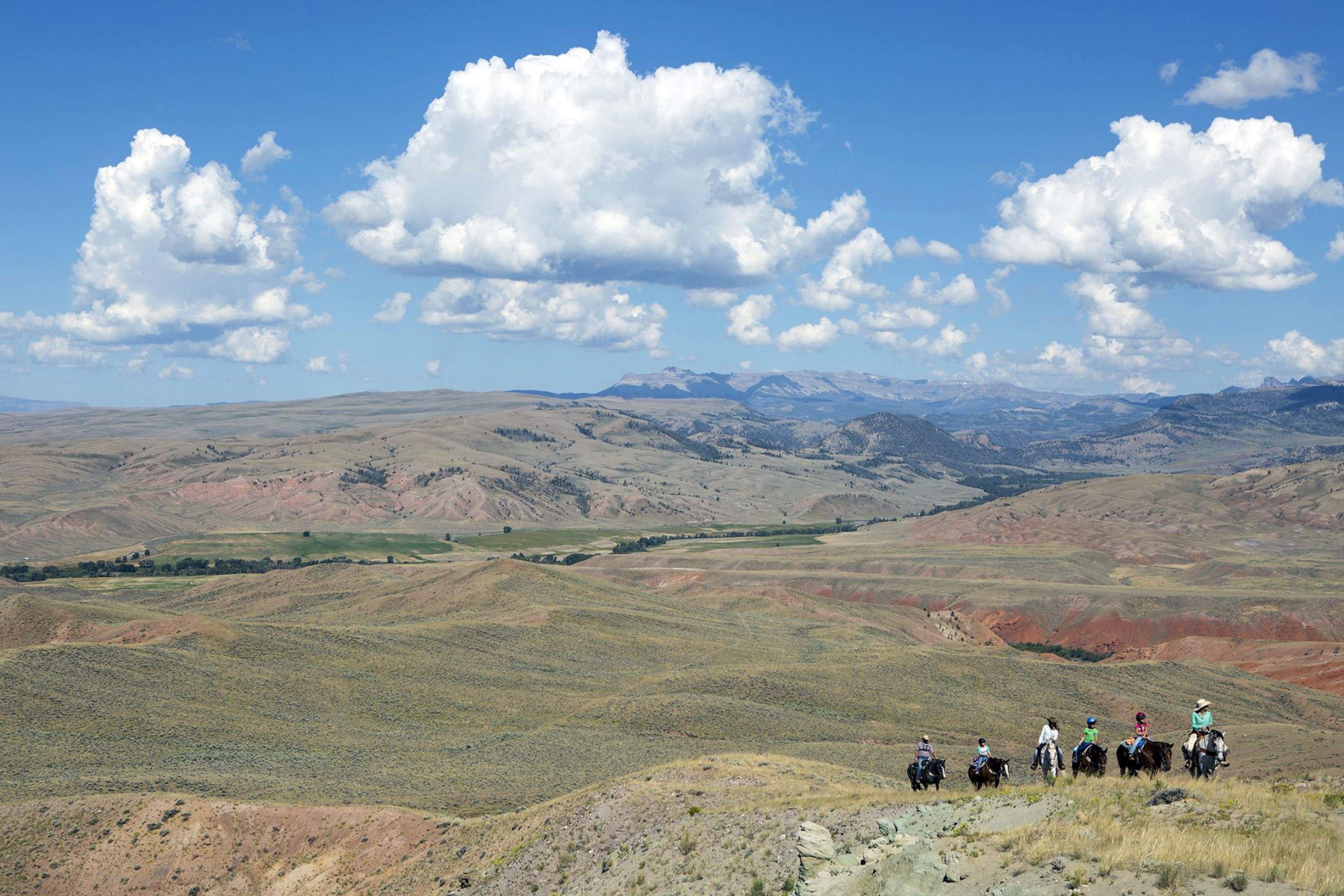 Featured photo from Lazy L&B Ranch
