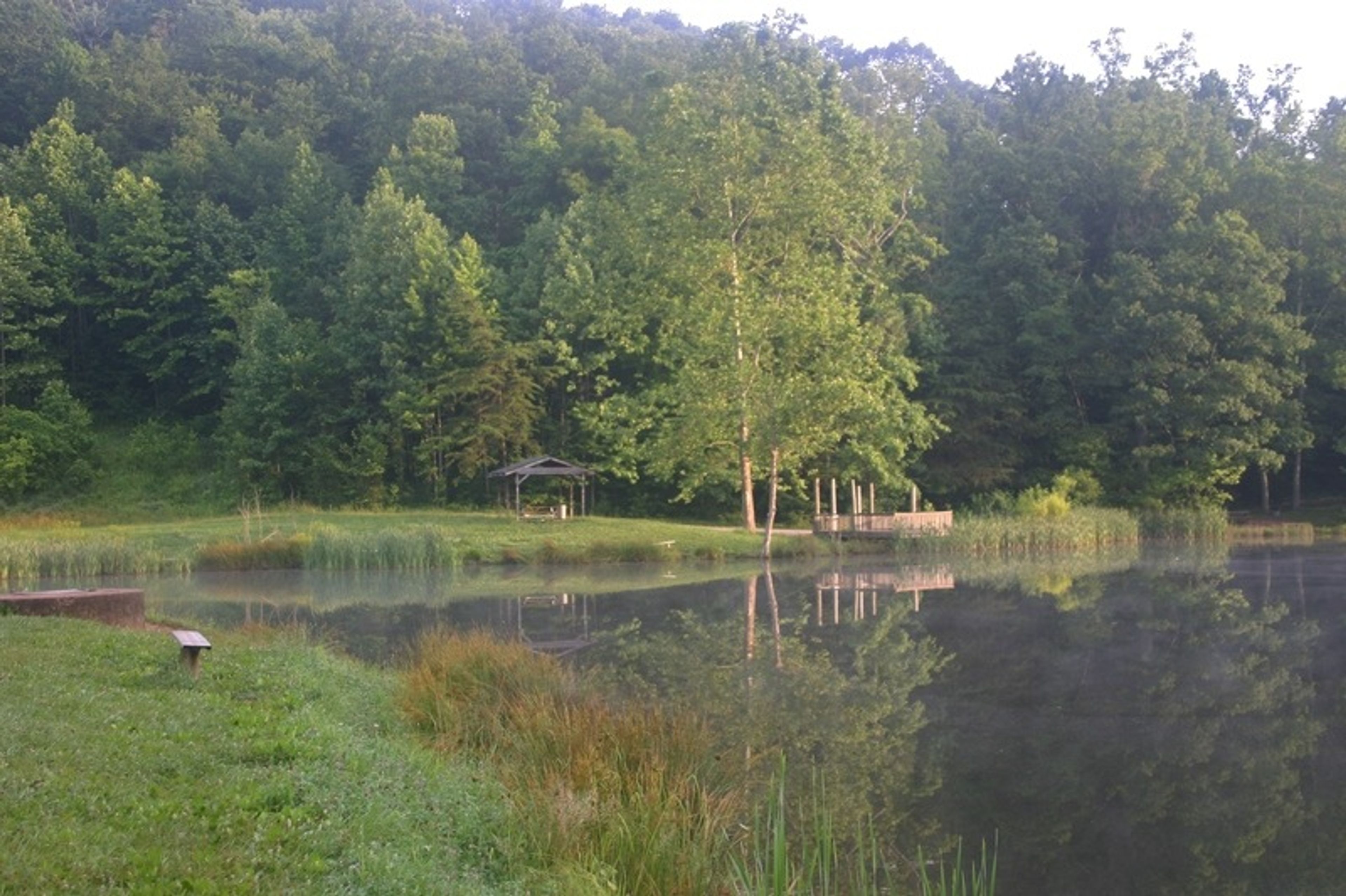Featured photo from Wine Cellar Park
