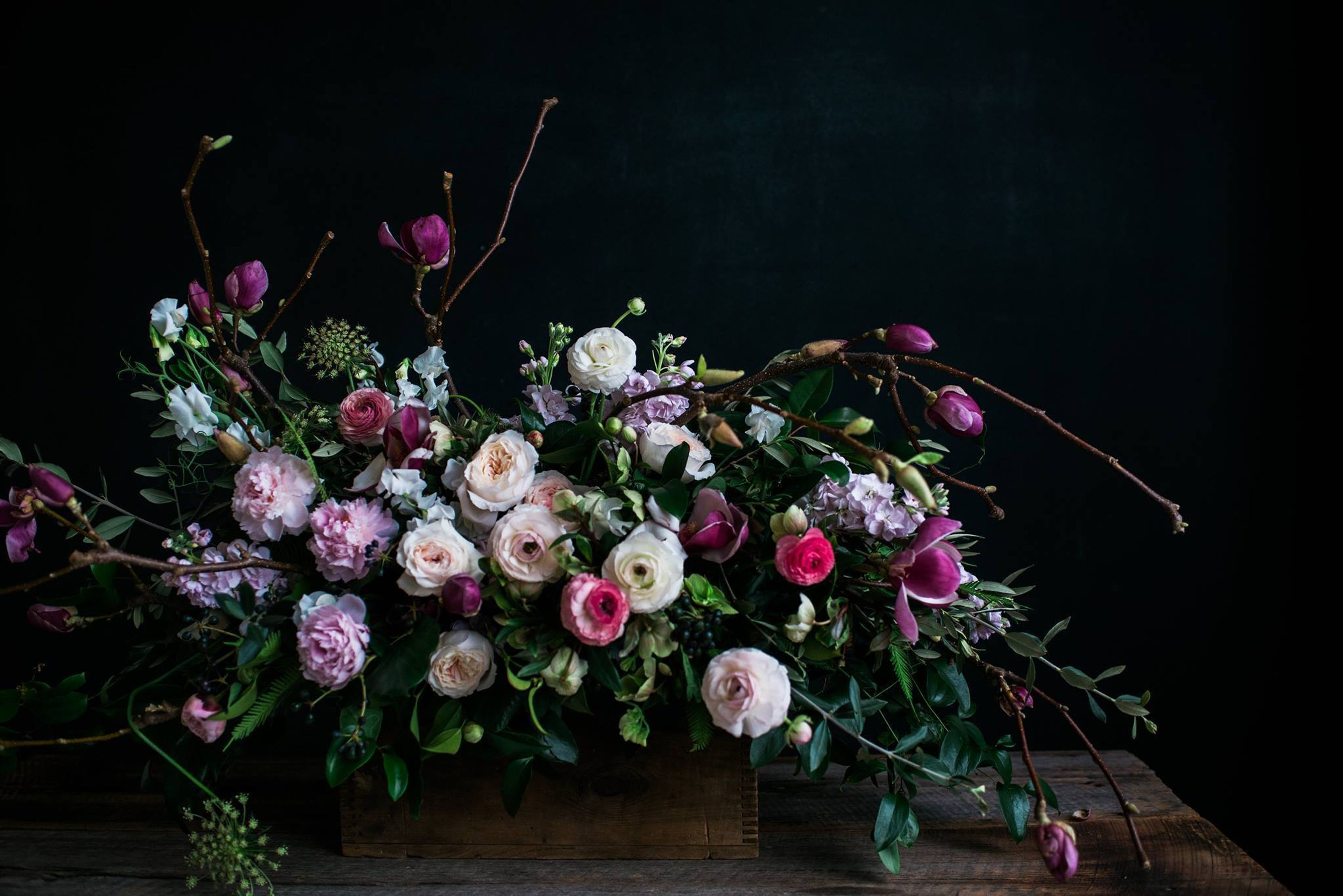 Cover photo of Molly Taylor & Company