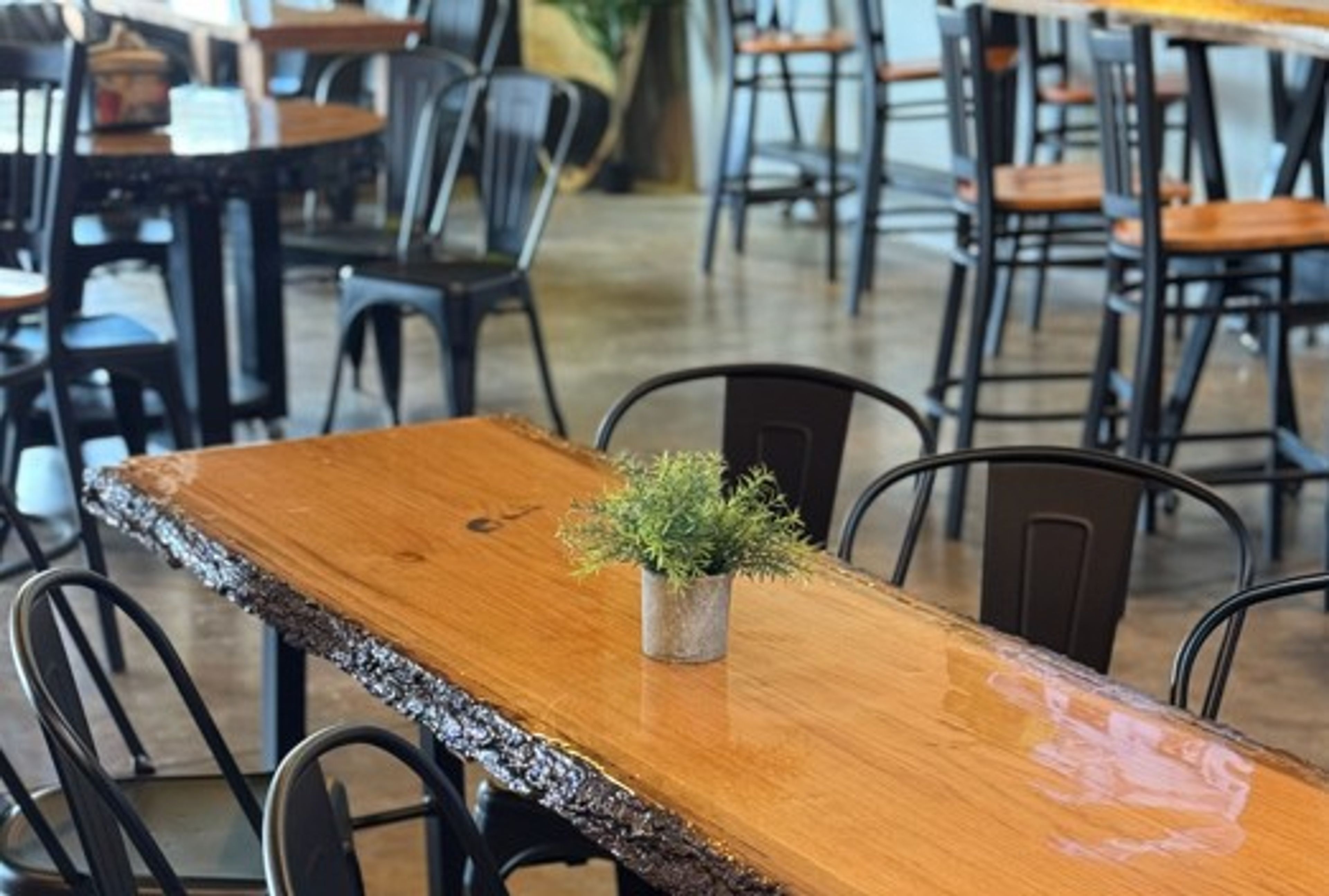 Featured photo from Lost Rhino Brewing Company