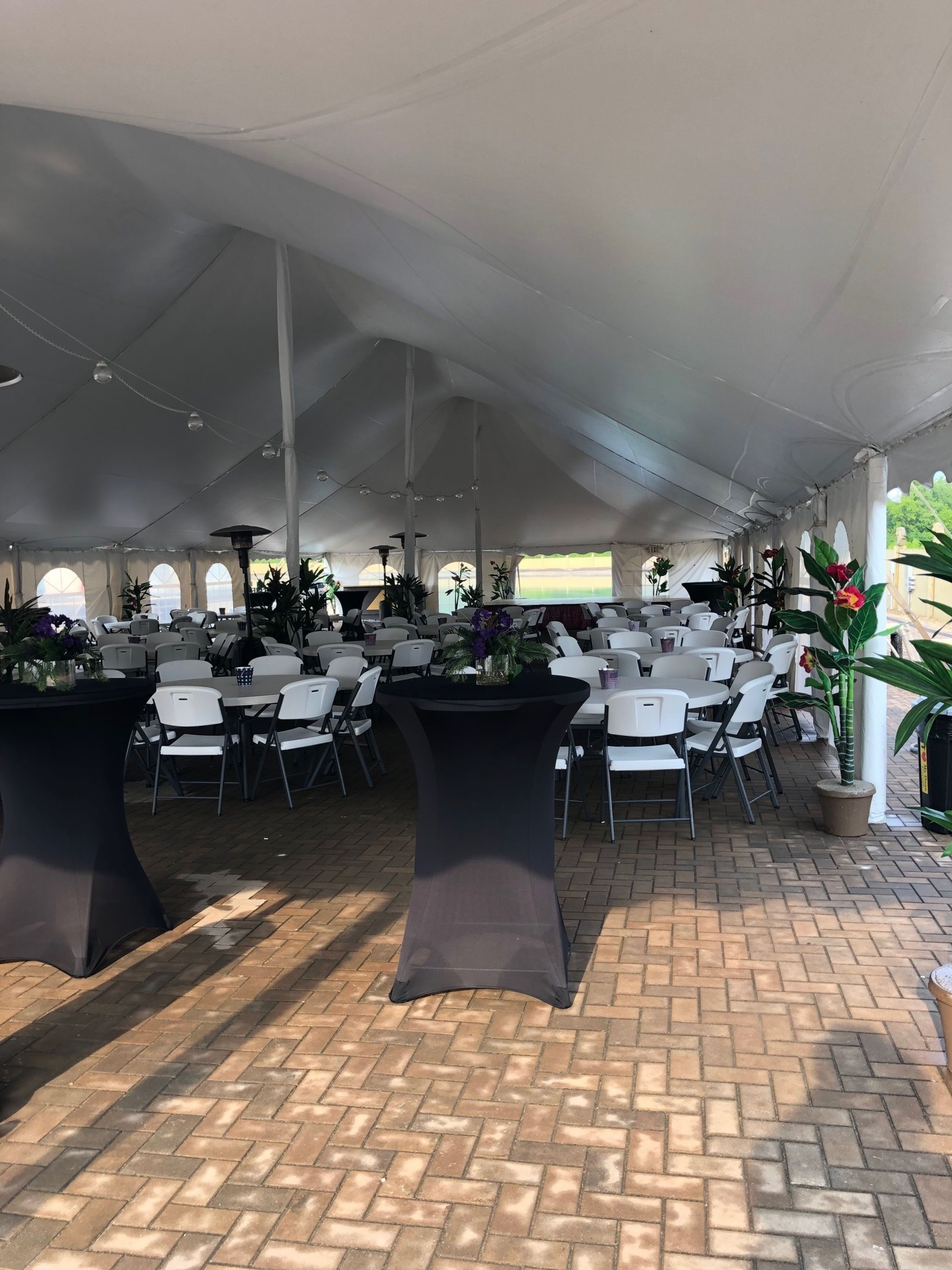 Cover photo of Gold Pyramid Entertainment