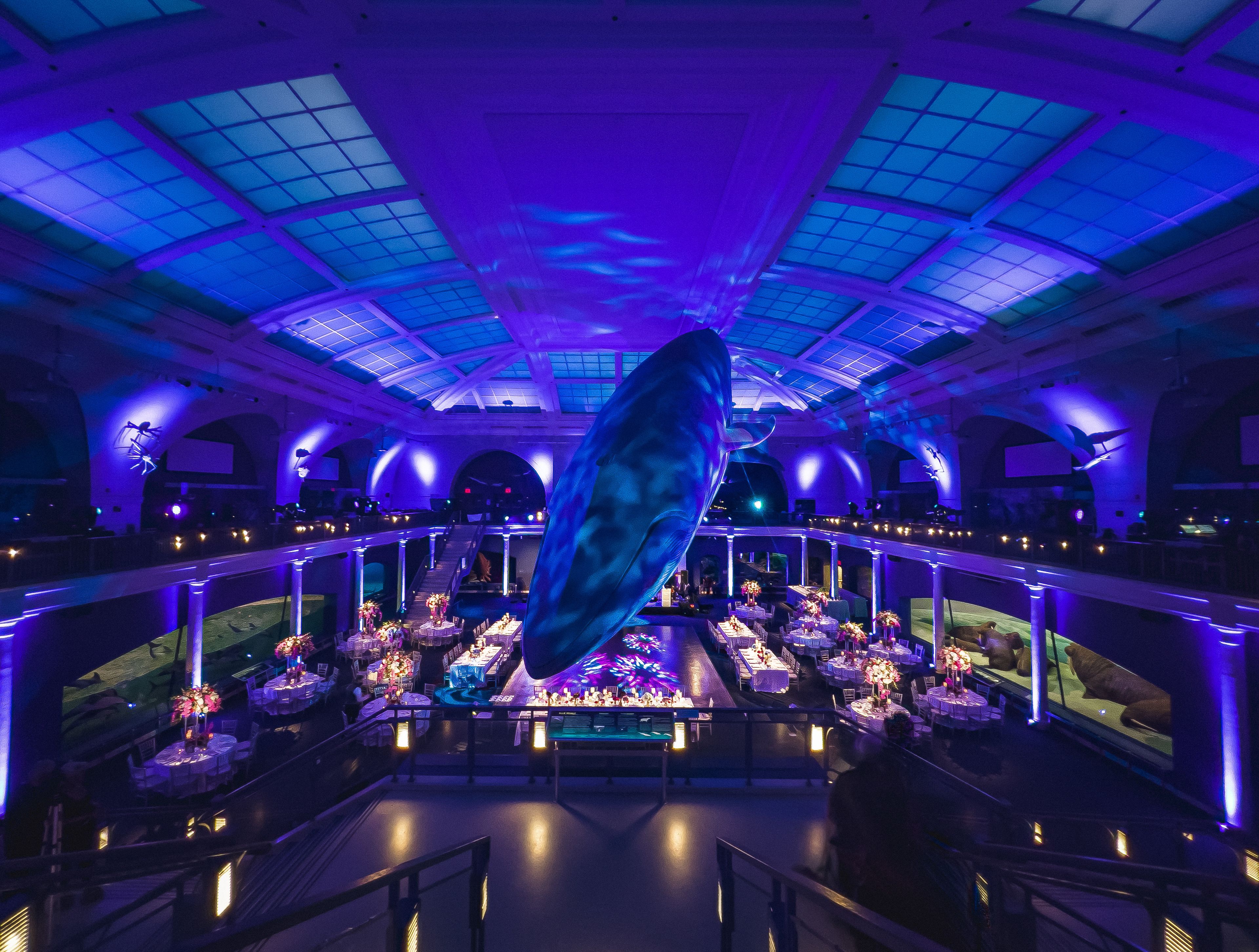 Cover photo of Adam Leffel Productions