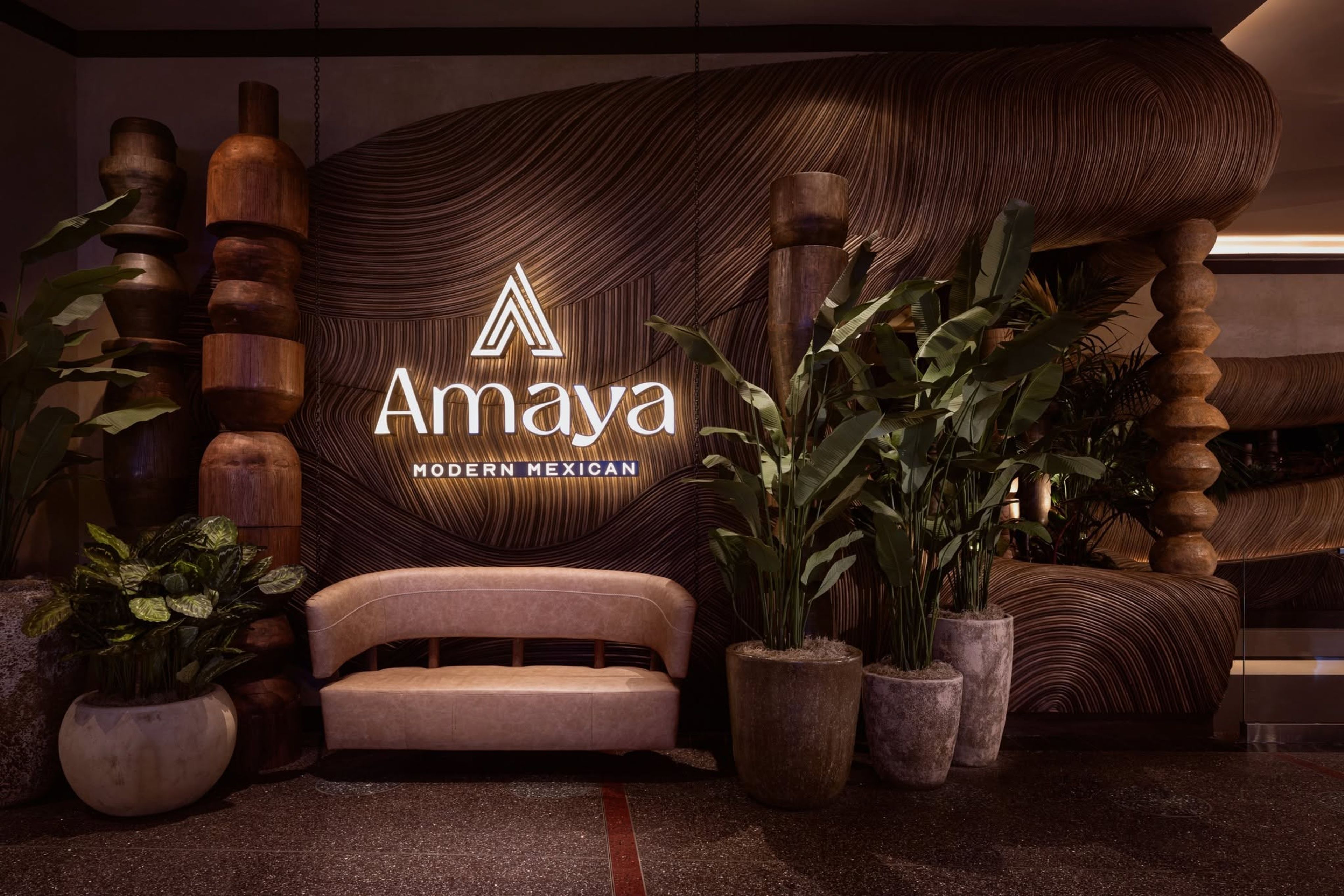 Featured photo from Amaya Modern Mexican
