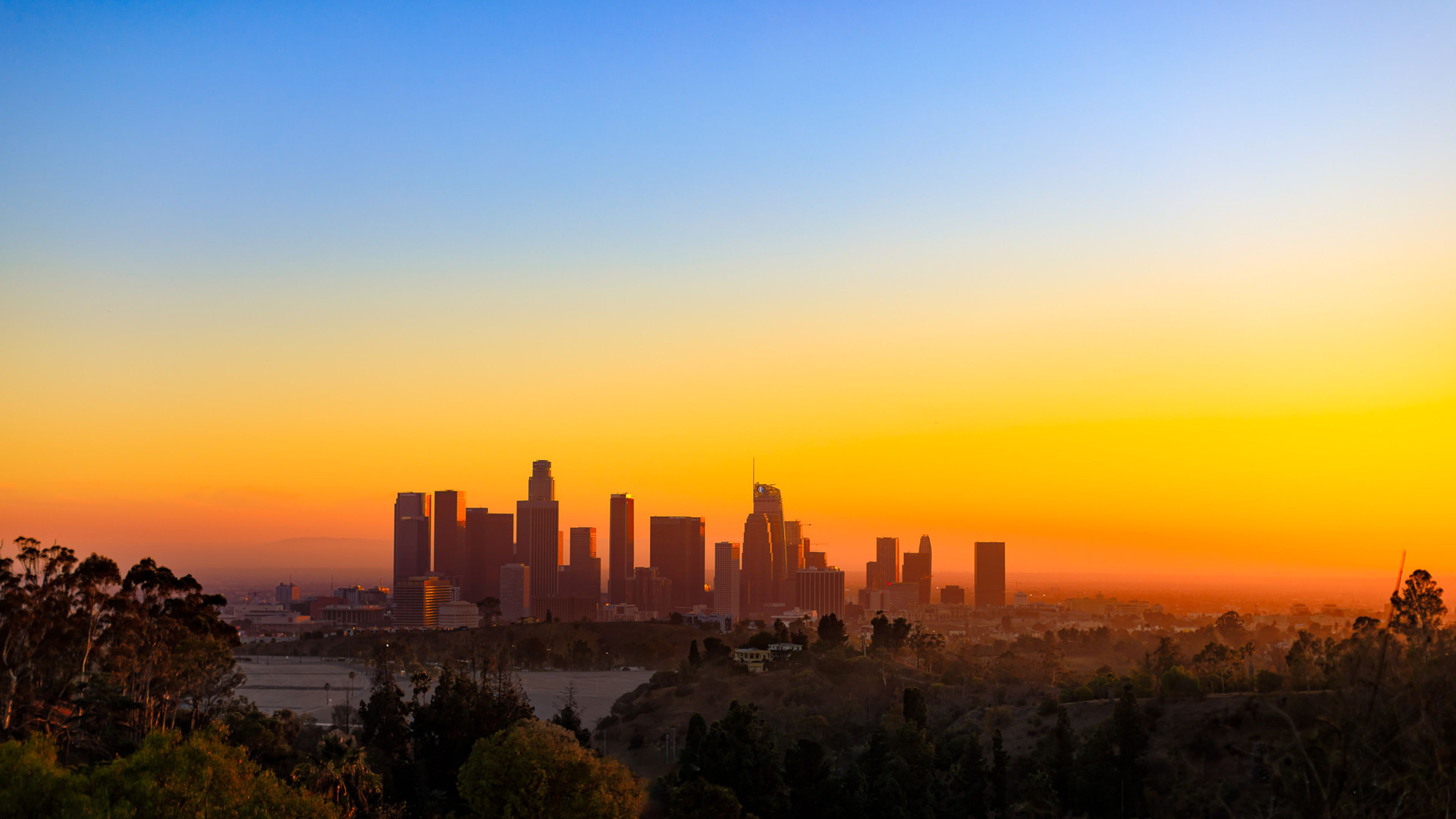 Cover photo of Visuals by Arpit