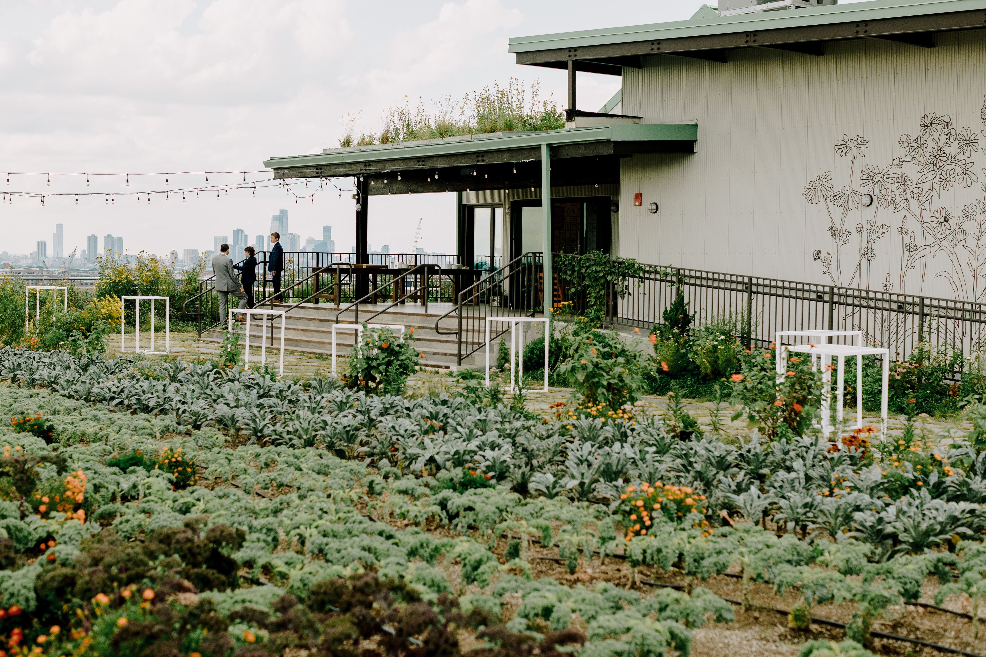 Cover photo of Brooklyn Grange Sunset Park