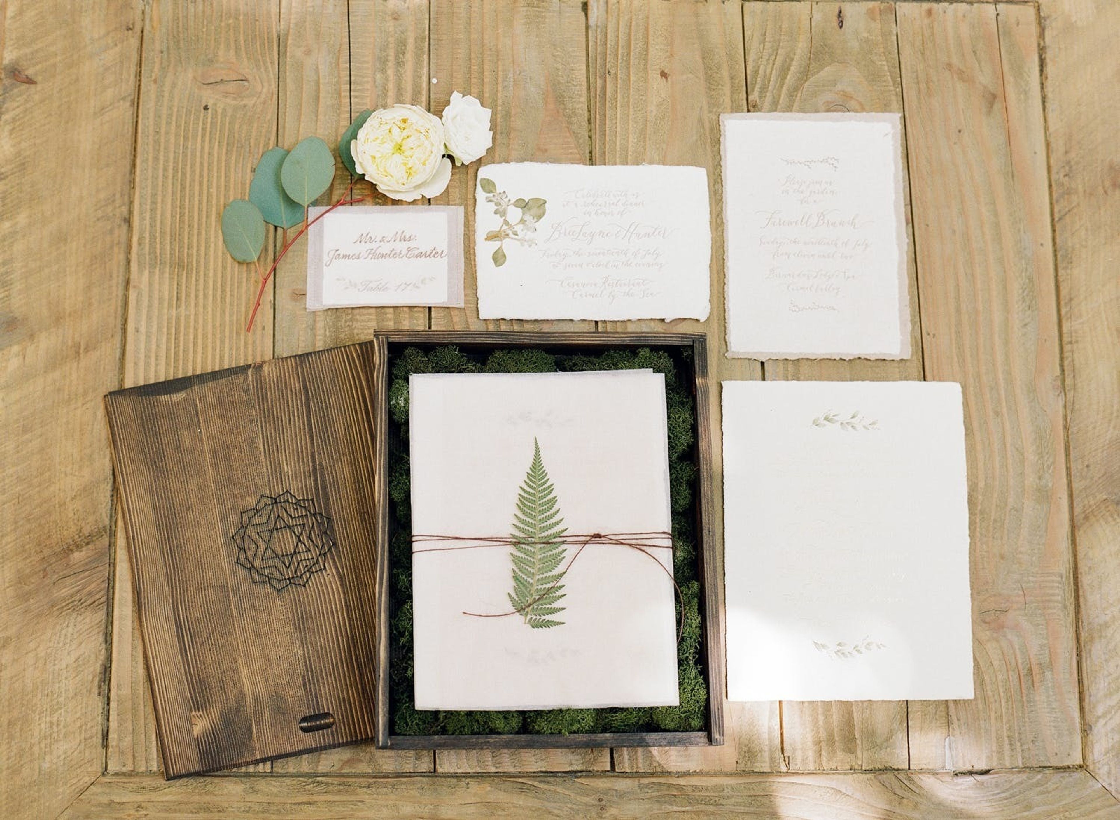 Cover photo of Tiny Pine Press