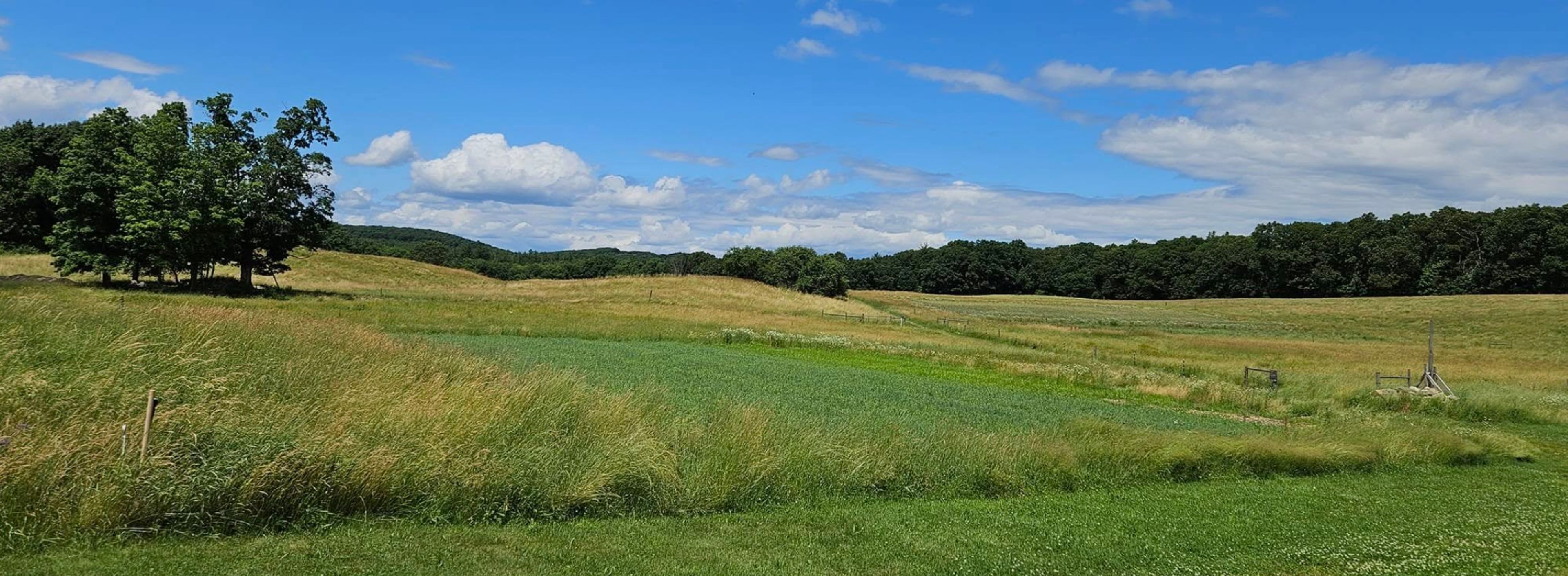 Featured photo from Chestnut Hill Farm