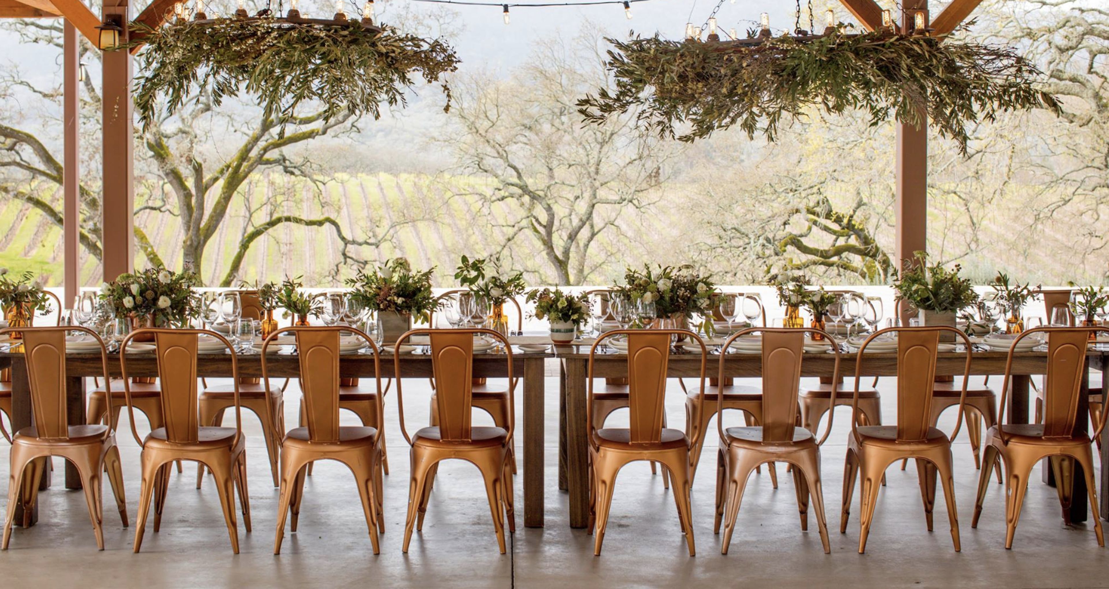 Cover photo of B.R. Cohn Winery