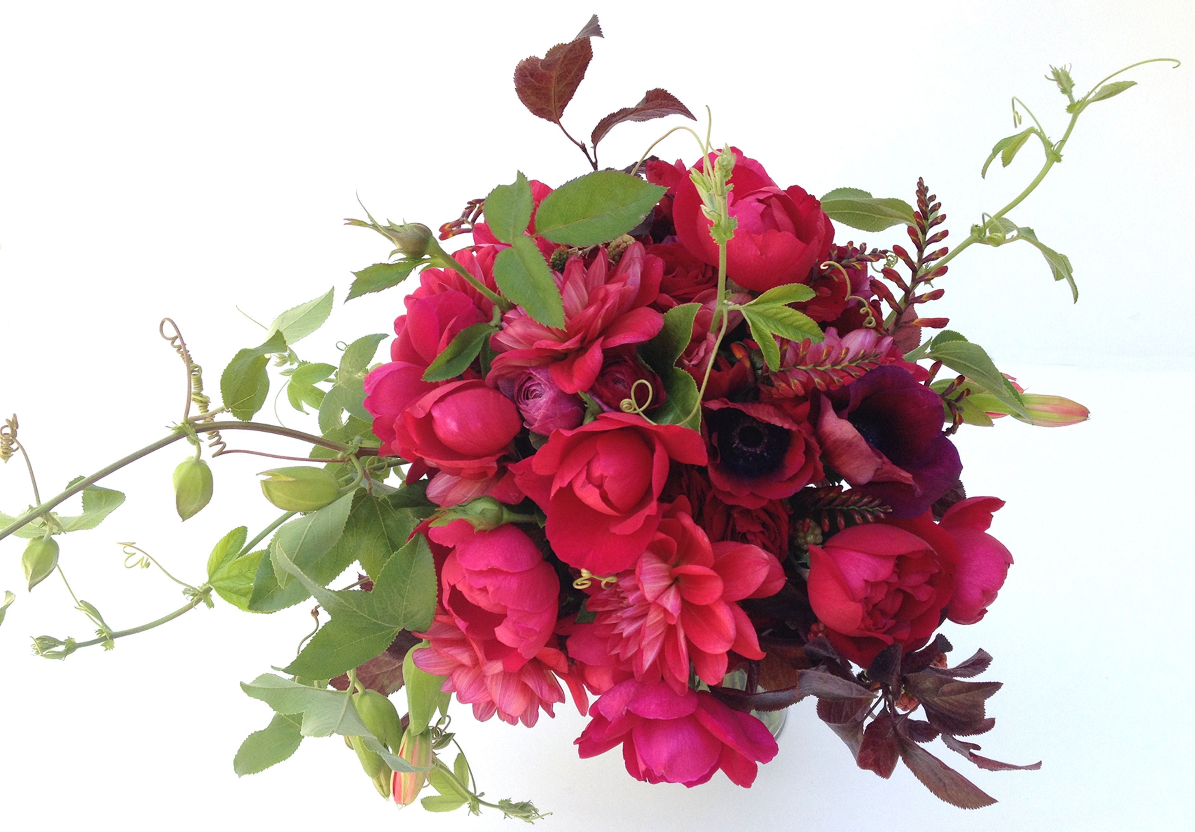 Cover photo of Sharpstick Studio