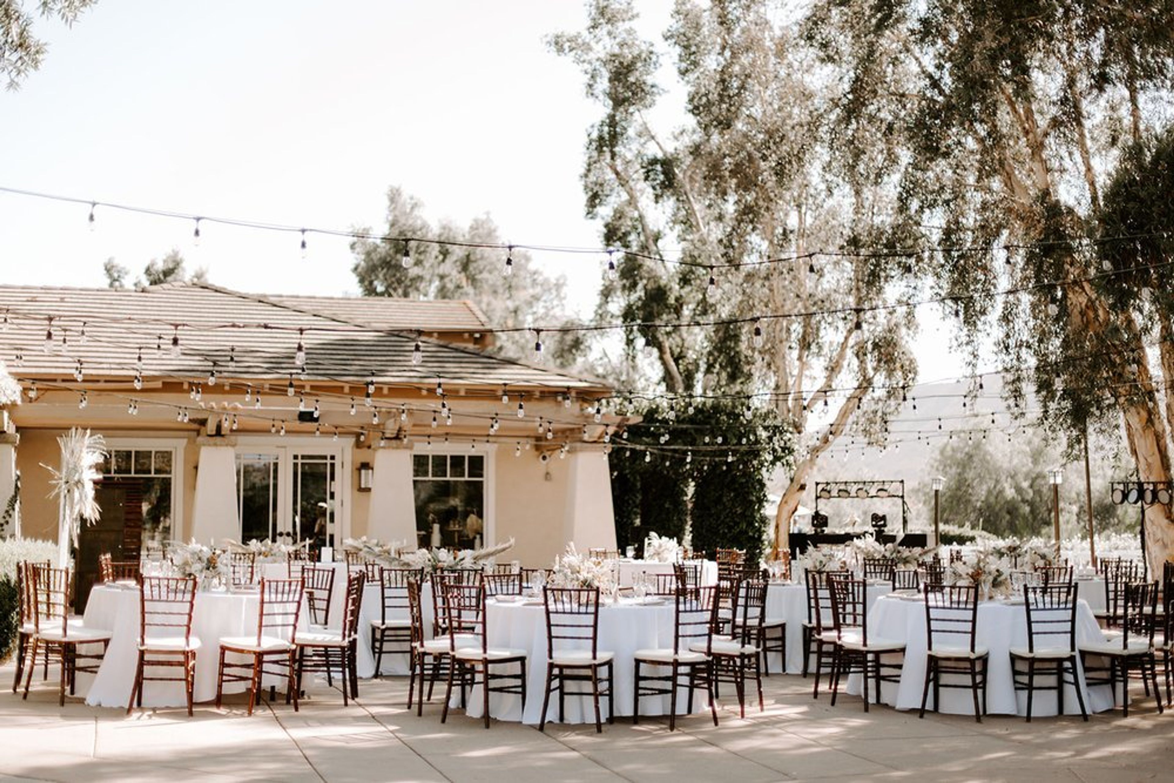 Cover photo of Twin Oaks