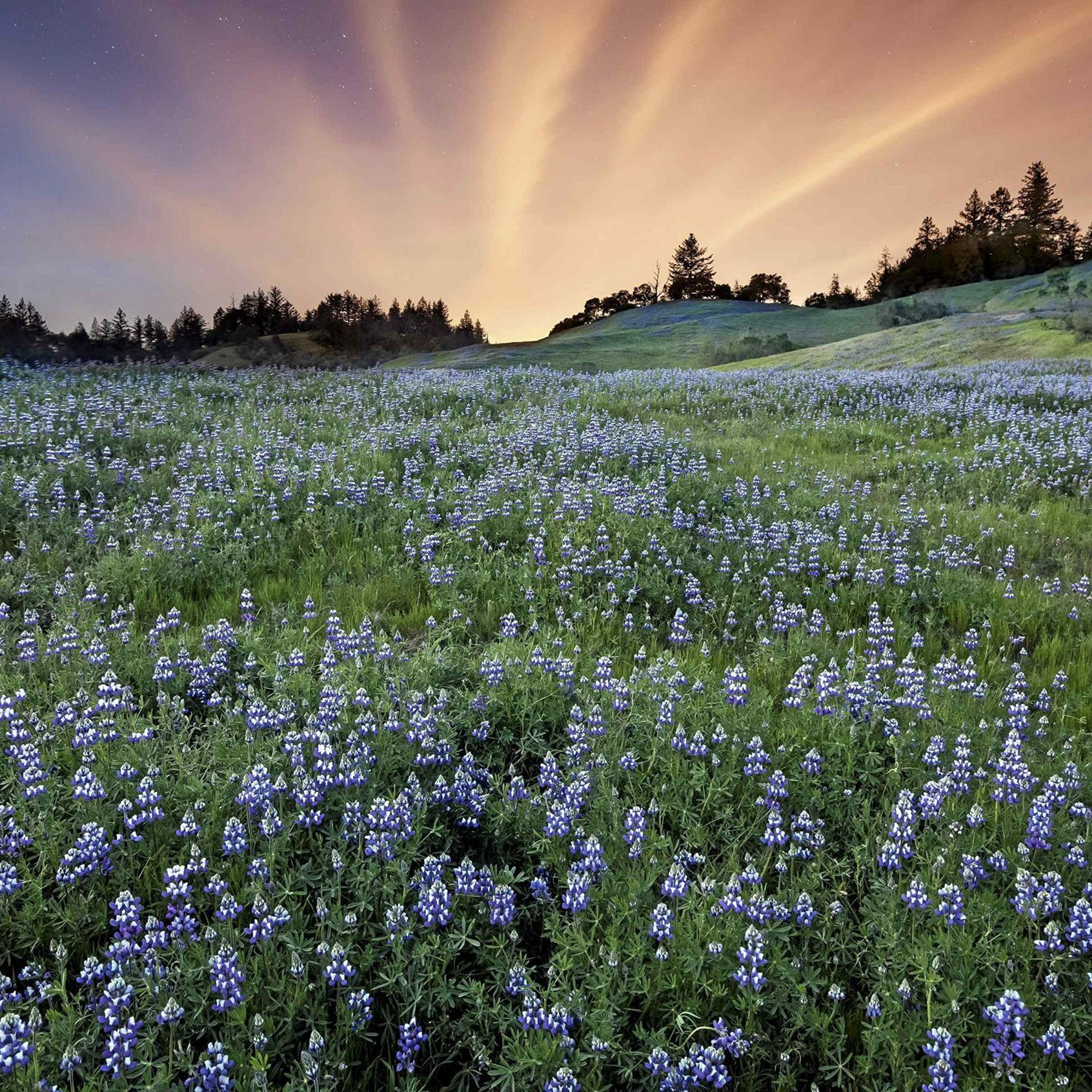 Cover photo of Scotts Valley Community Center