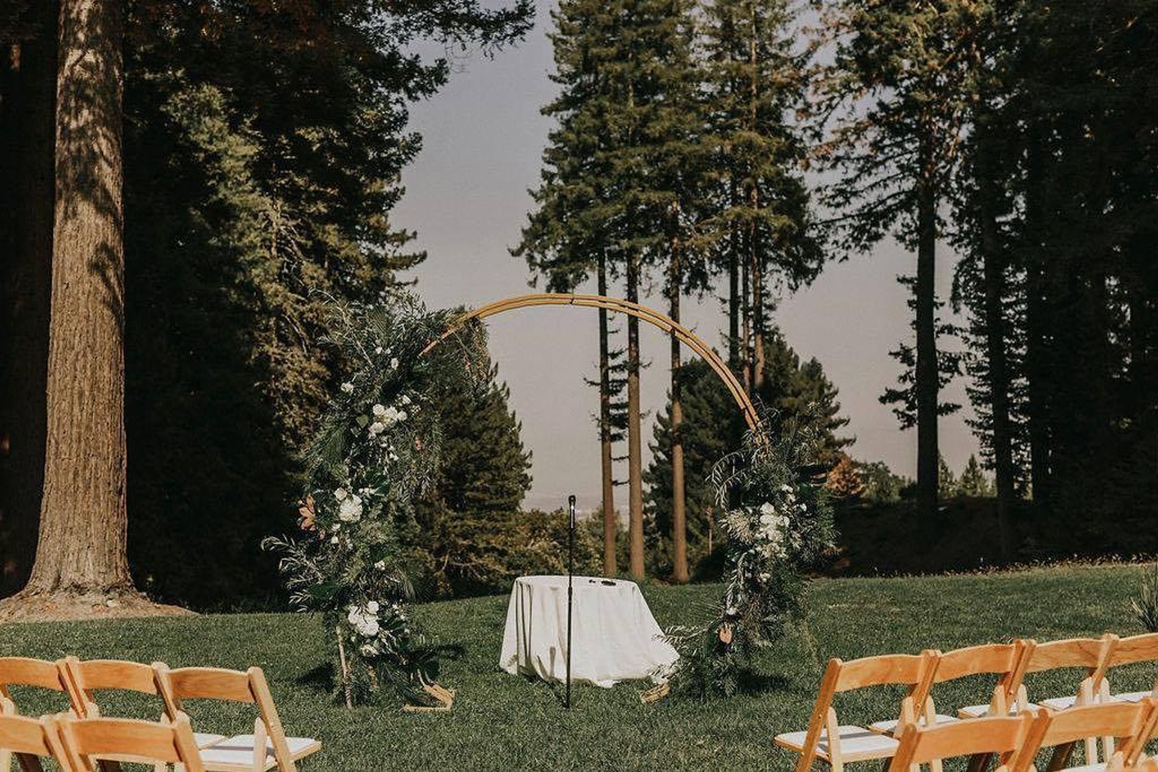 Cover photo of The Mountain Terrace