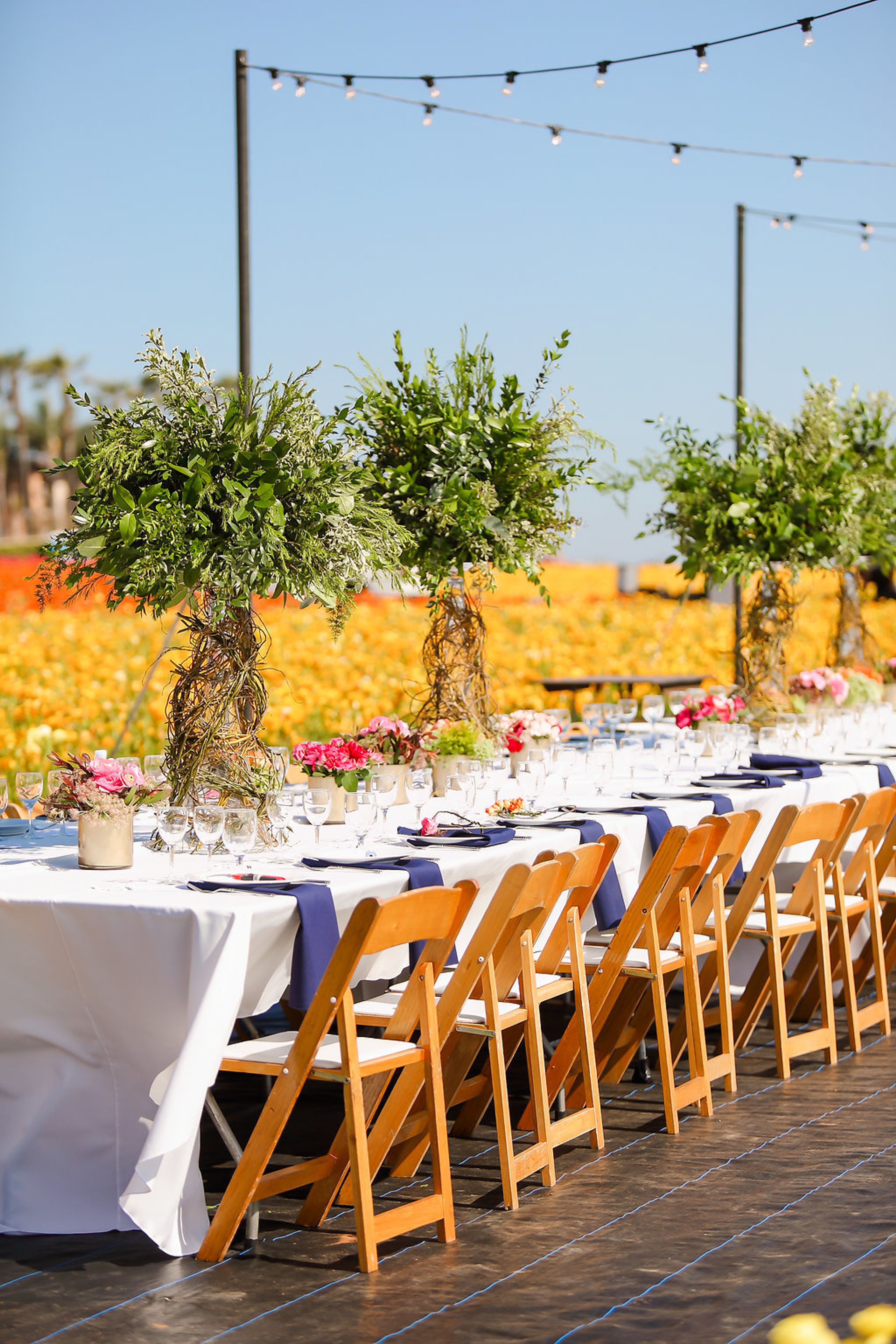 Cover photo of The Flower Chef