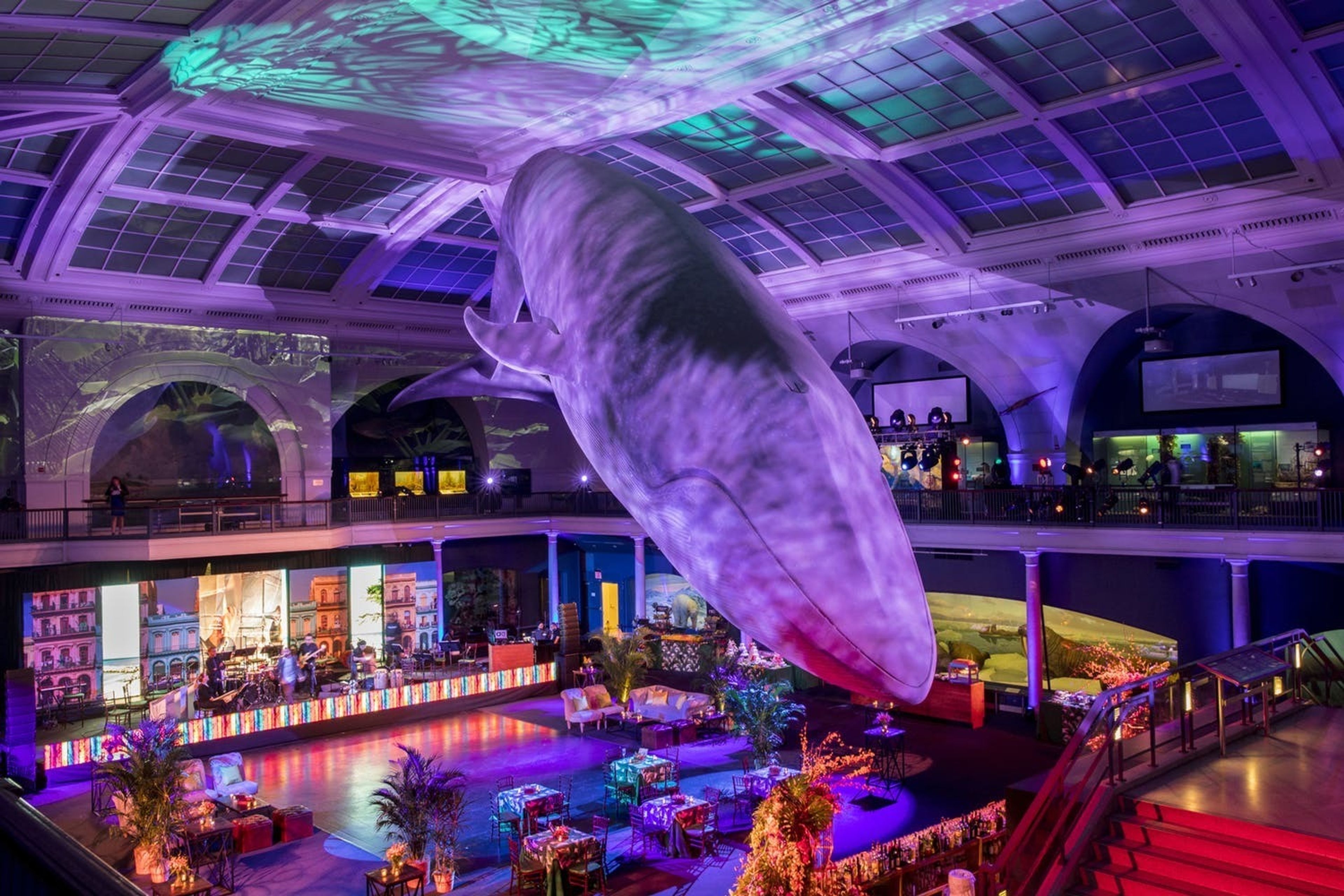 Cover photo of WMC Creative