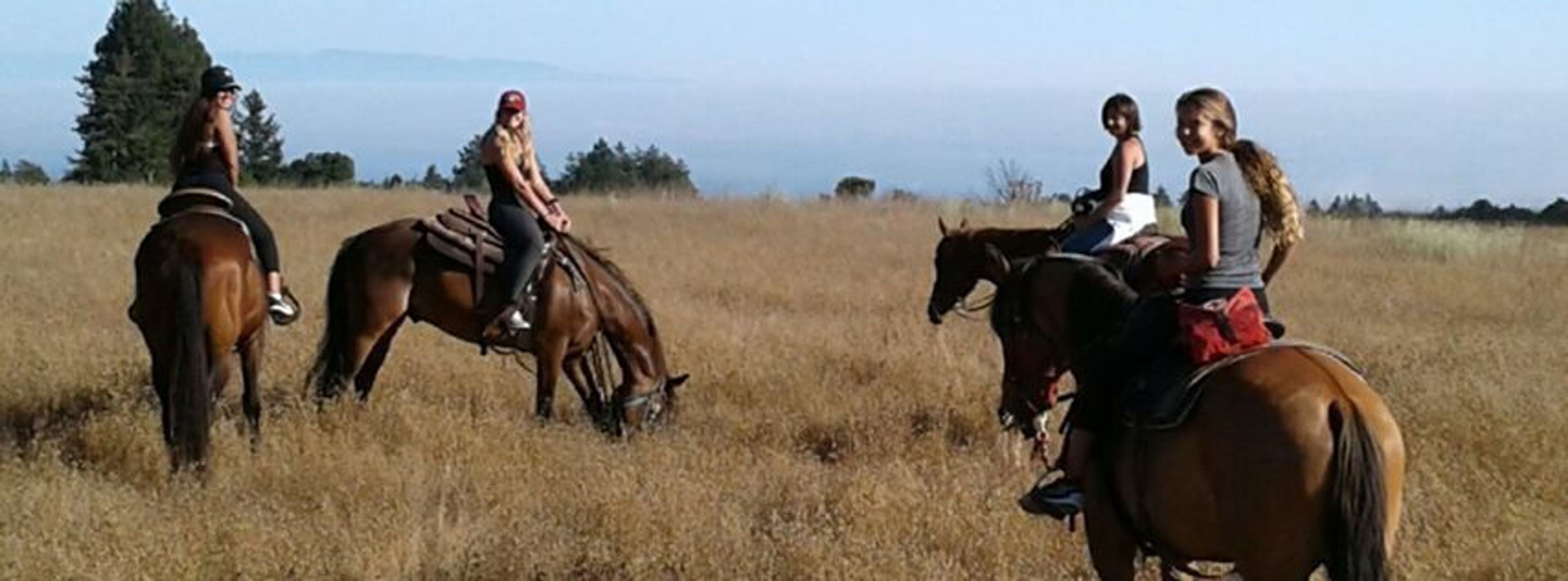 Cover photo of Seahorse Equestrian Tours