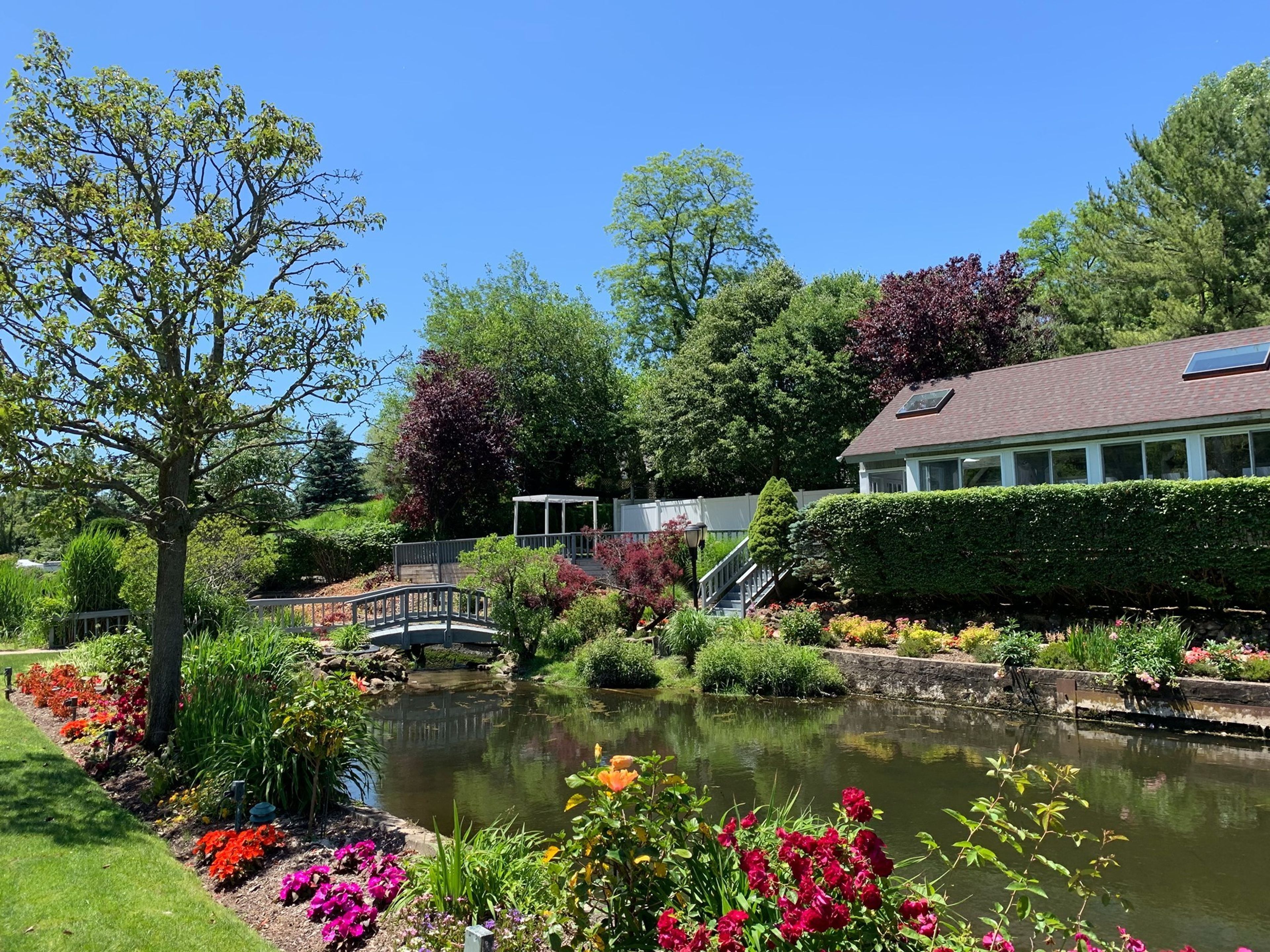 Cover photo of Swan Club