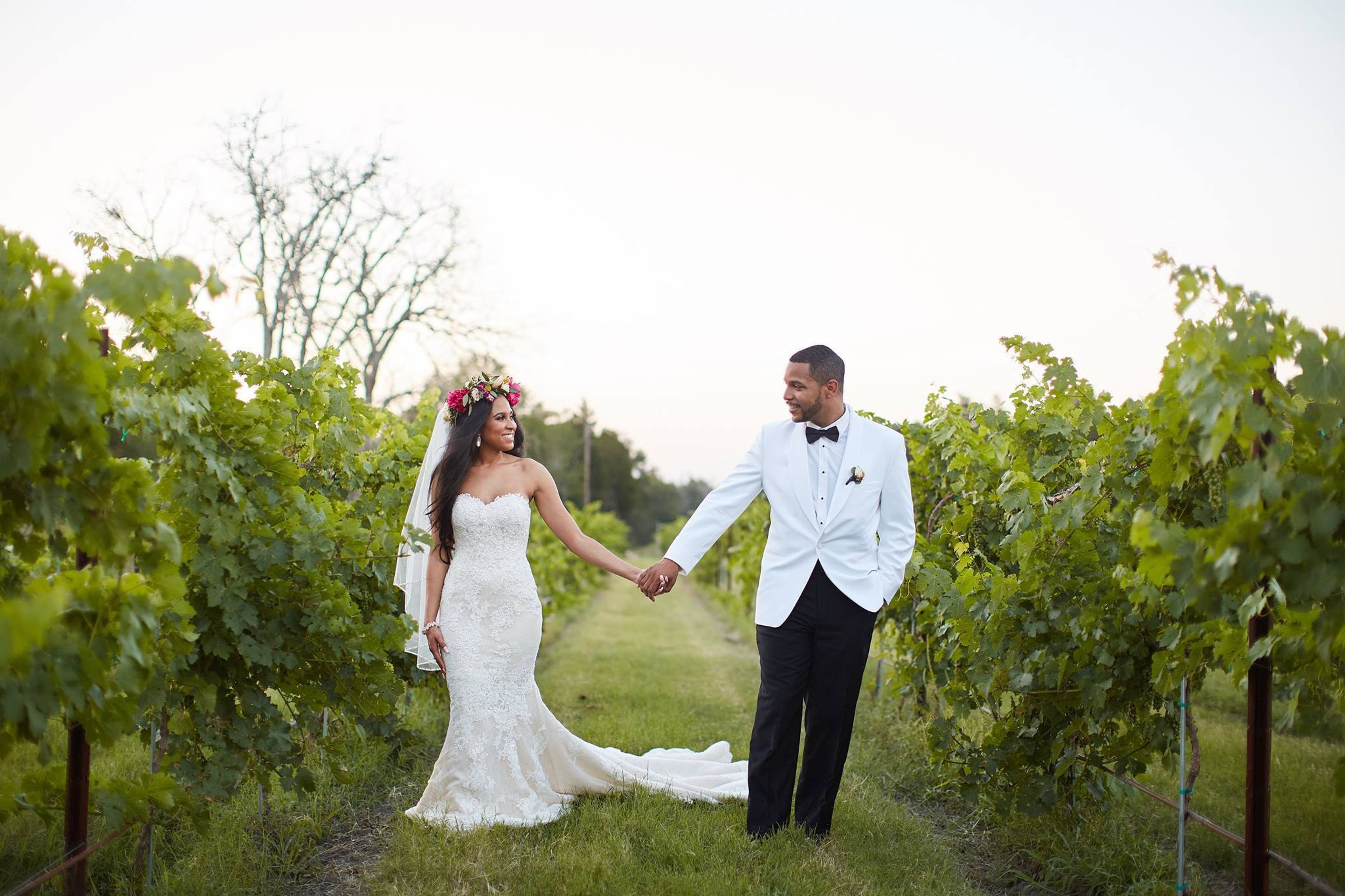 Cover photo of The Vine