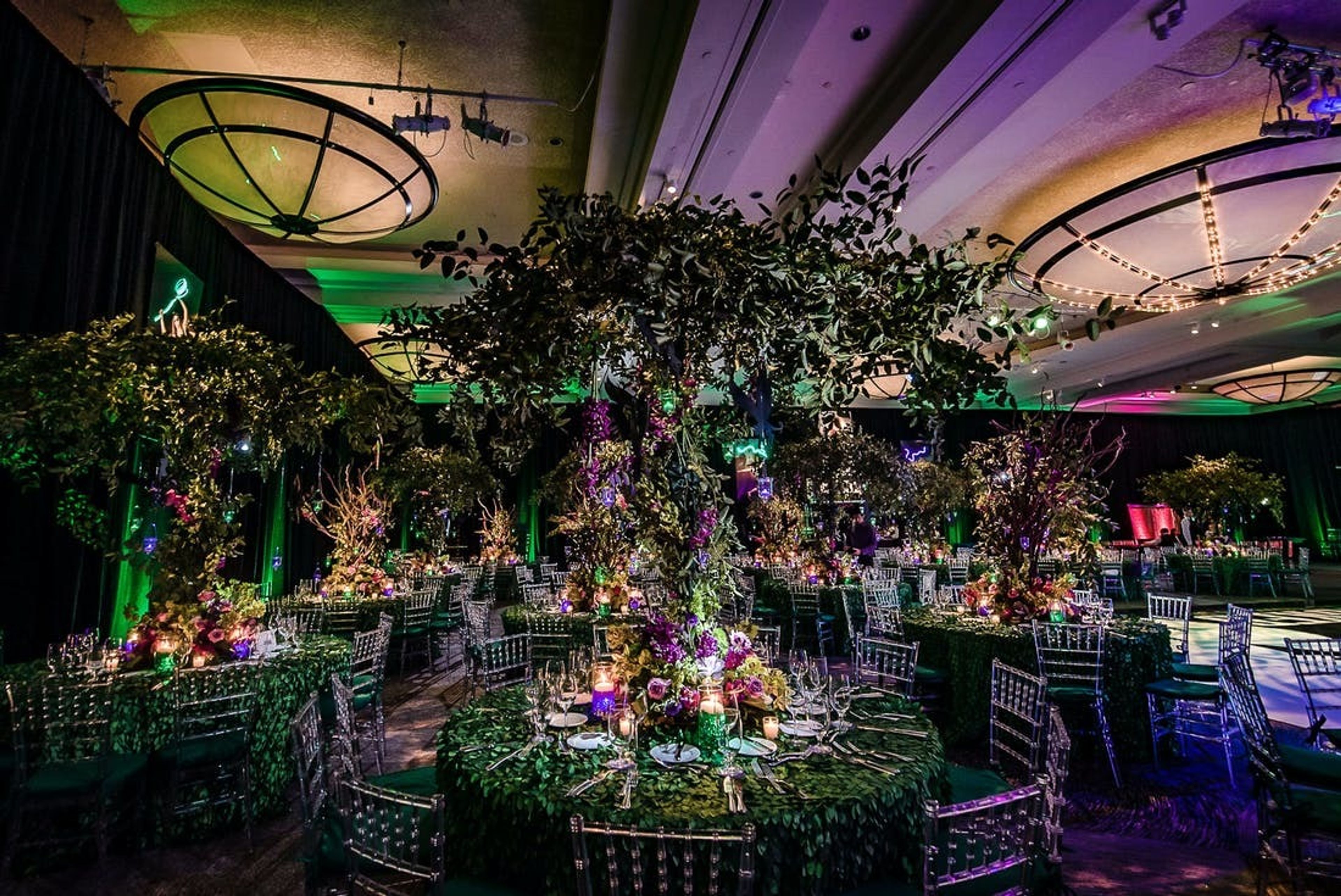 Cover photo of The Breakers At The Kravis Center