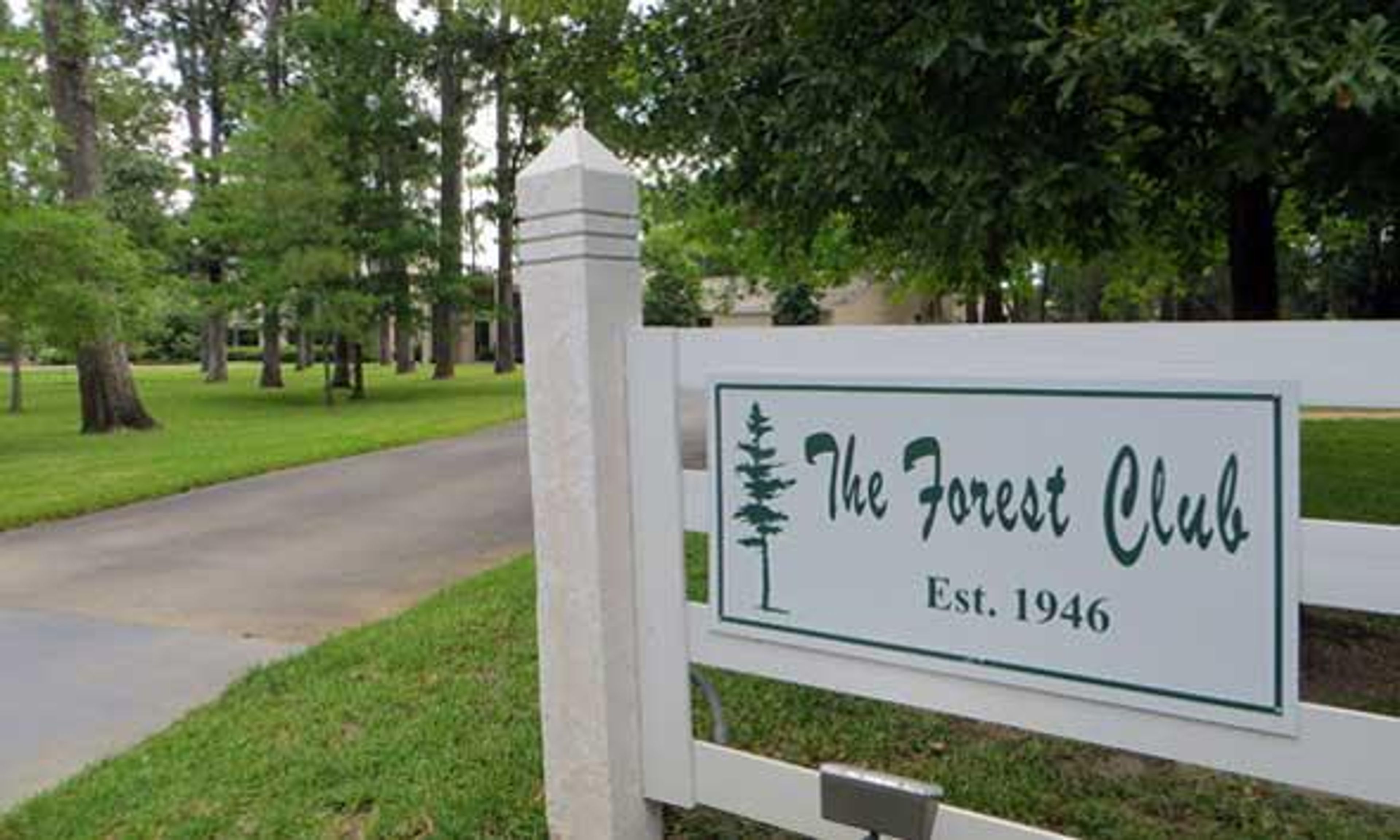 Cover photo of The Forest Club