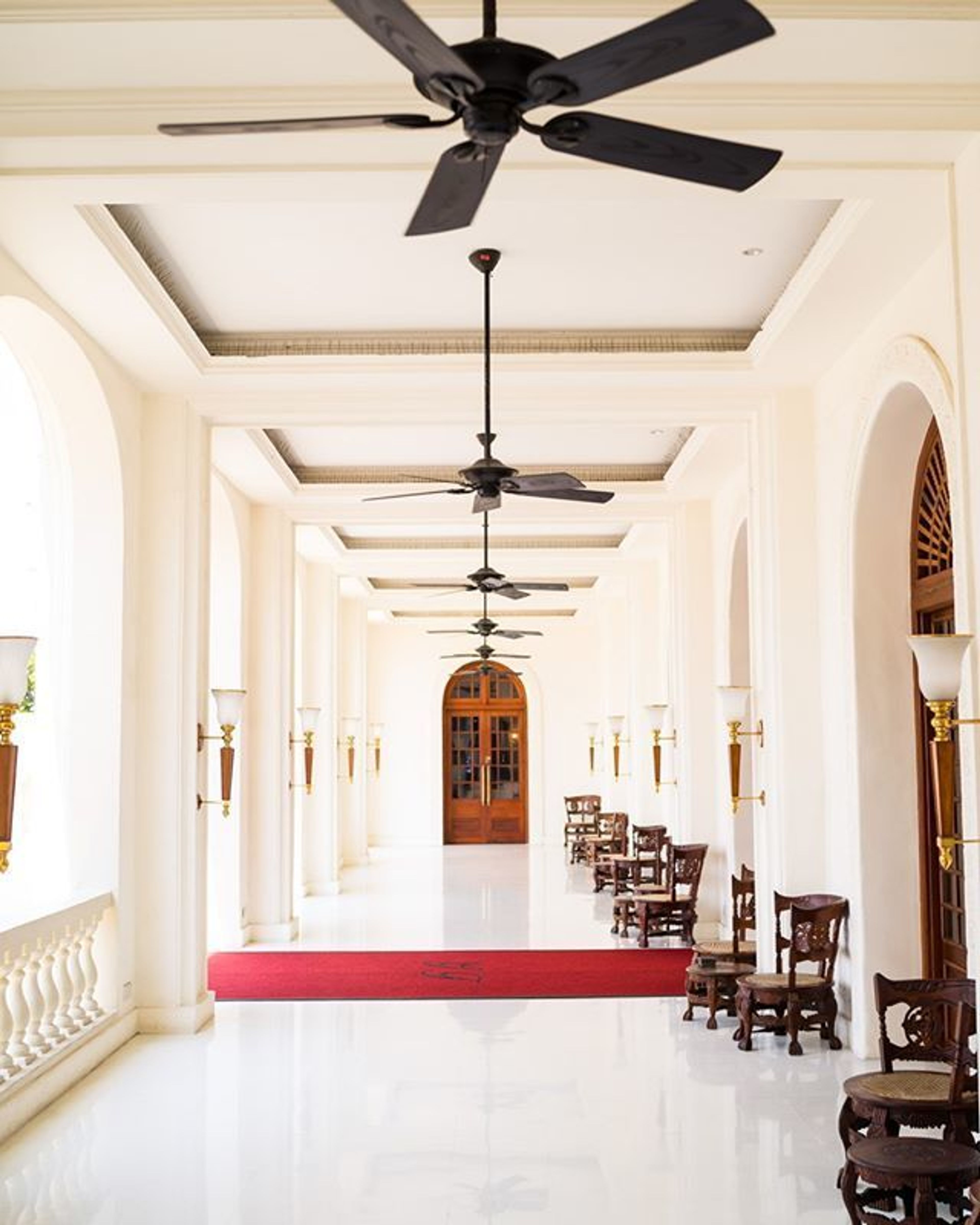 Cover photo of Jasmine Vine