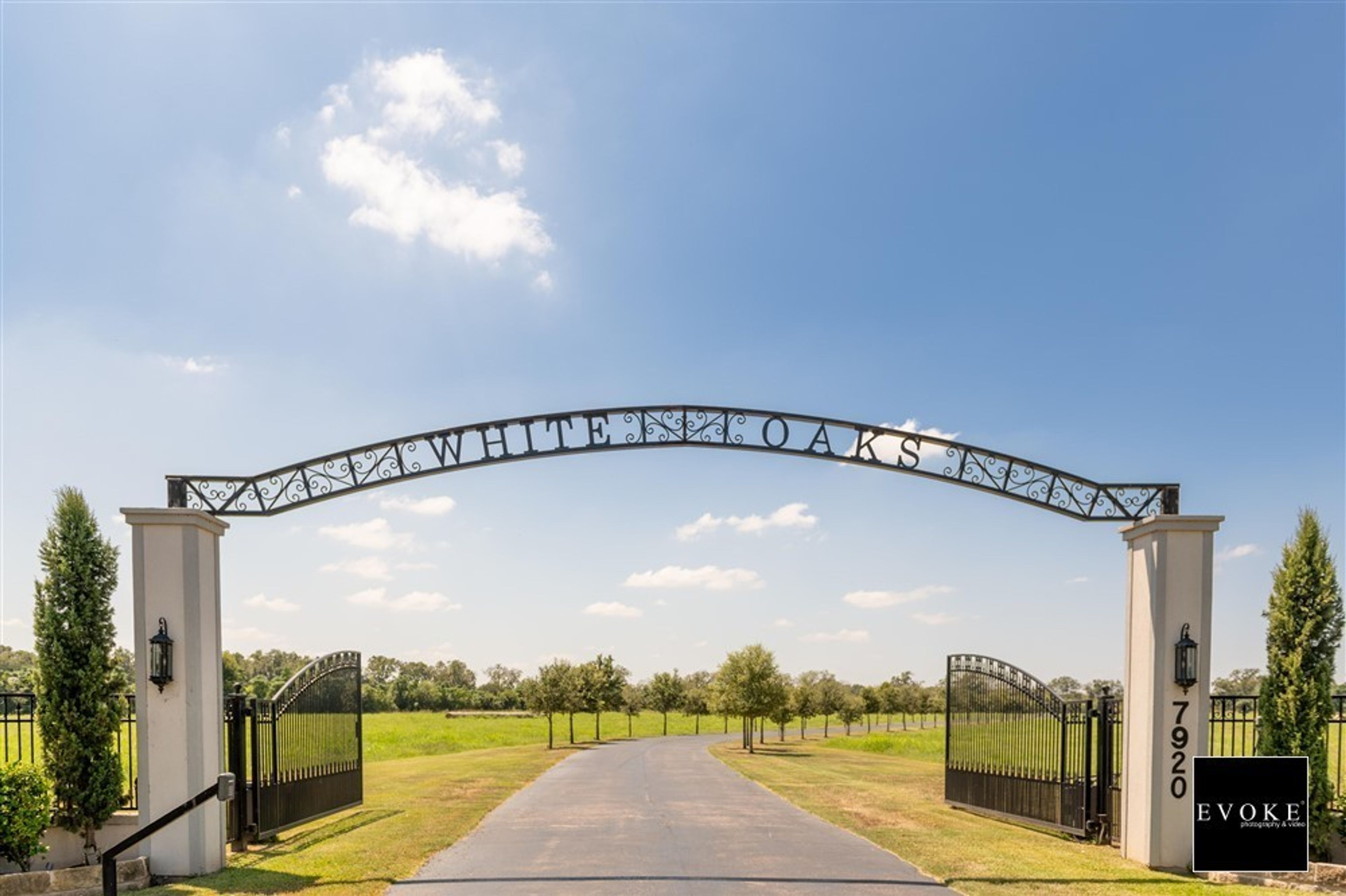 Cover photo of White Oaks on the Bayou