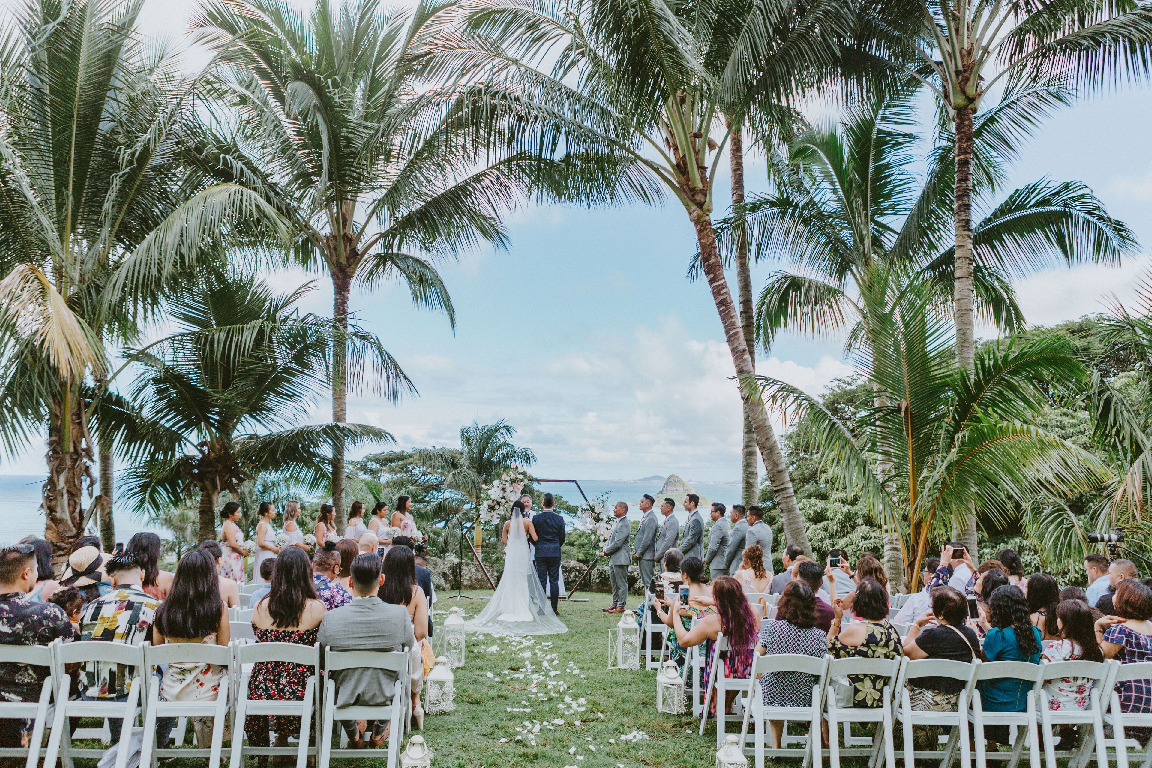 Cover photo of Tropical Moon Events