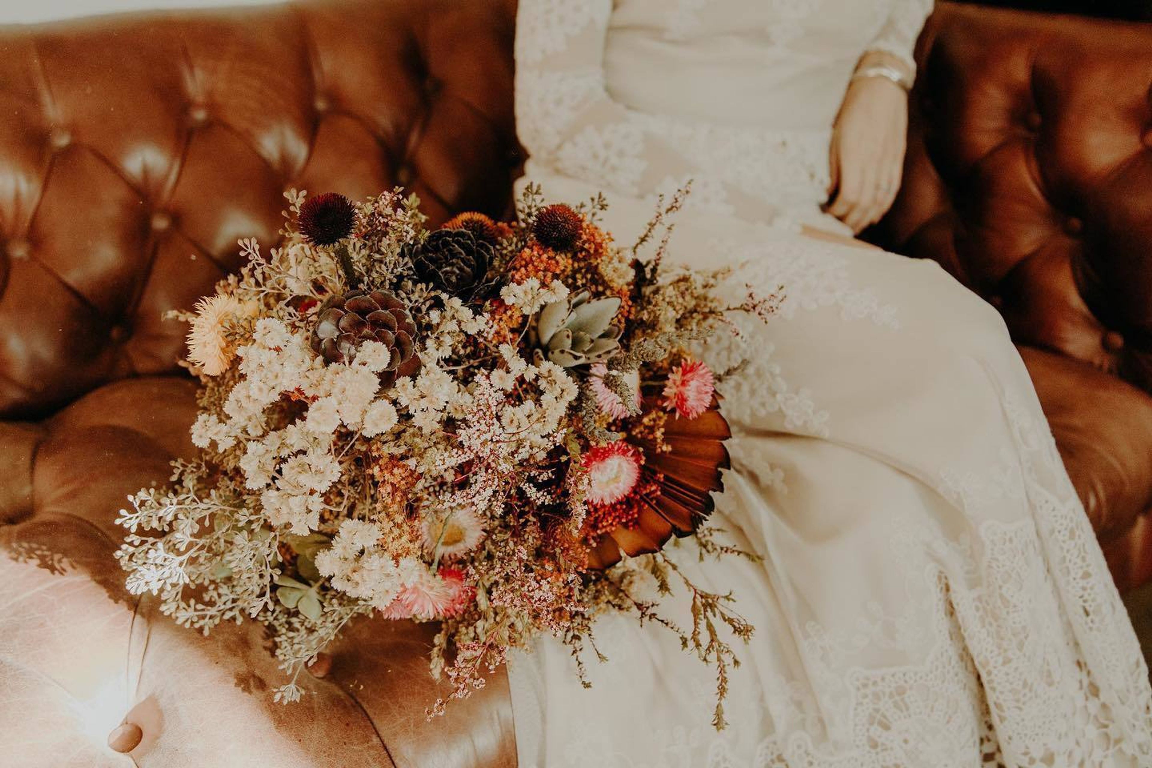 Cover photo of Rosewater