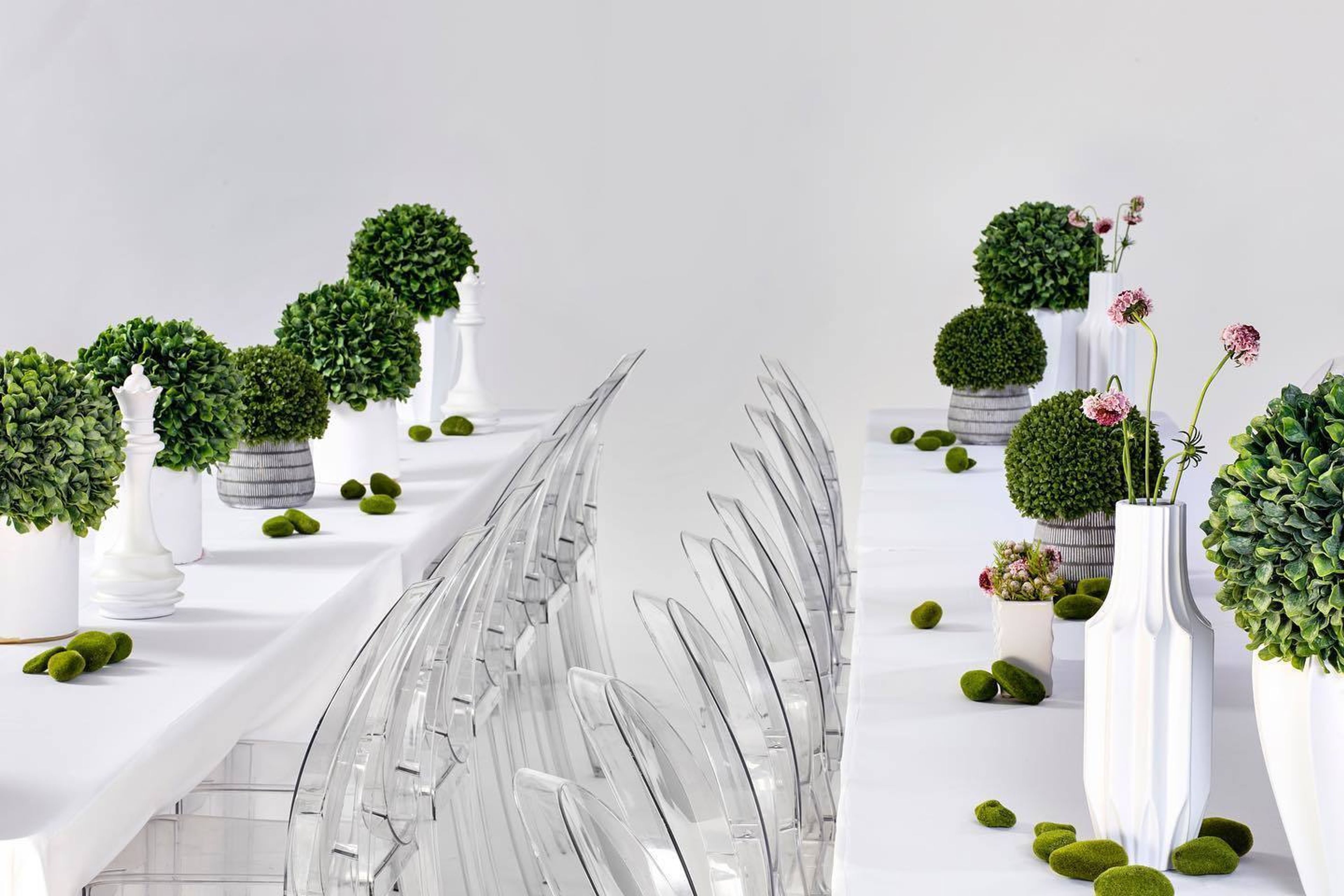 Cover photo of IBIZA Event Catering