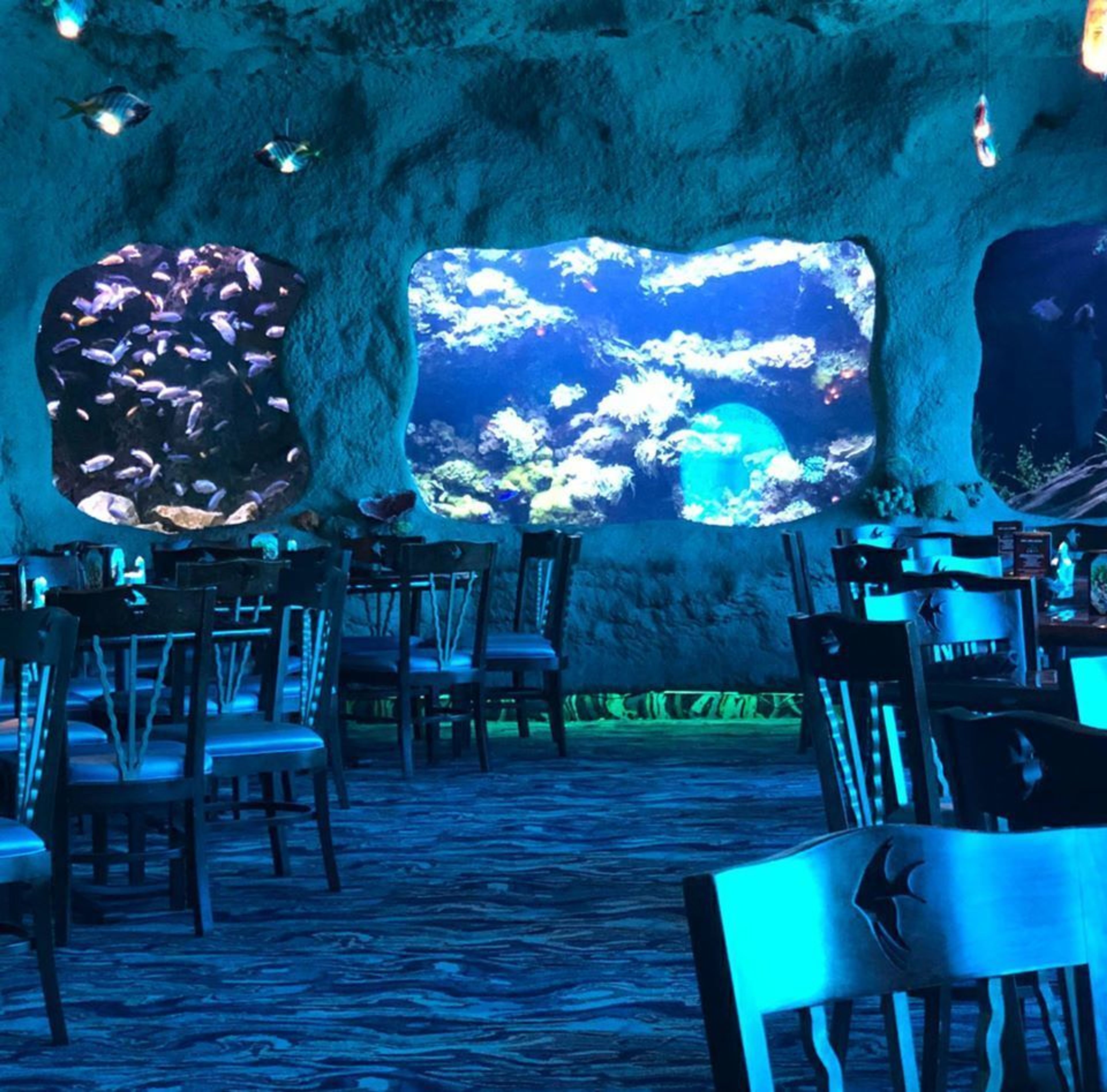 Cover photo of Aquarium Restaurant - Kemah