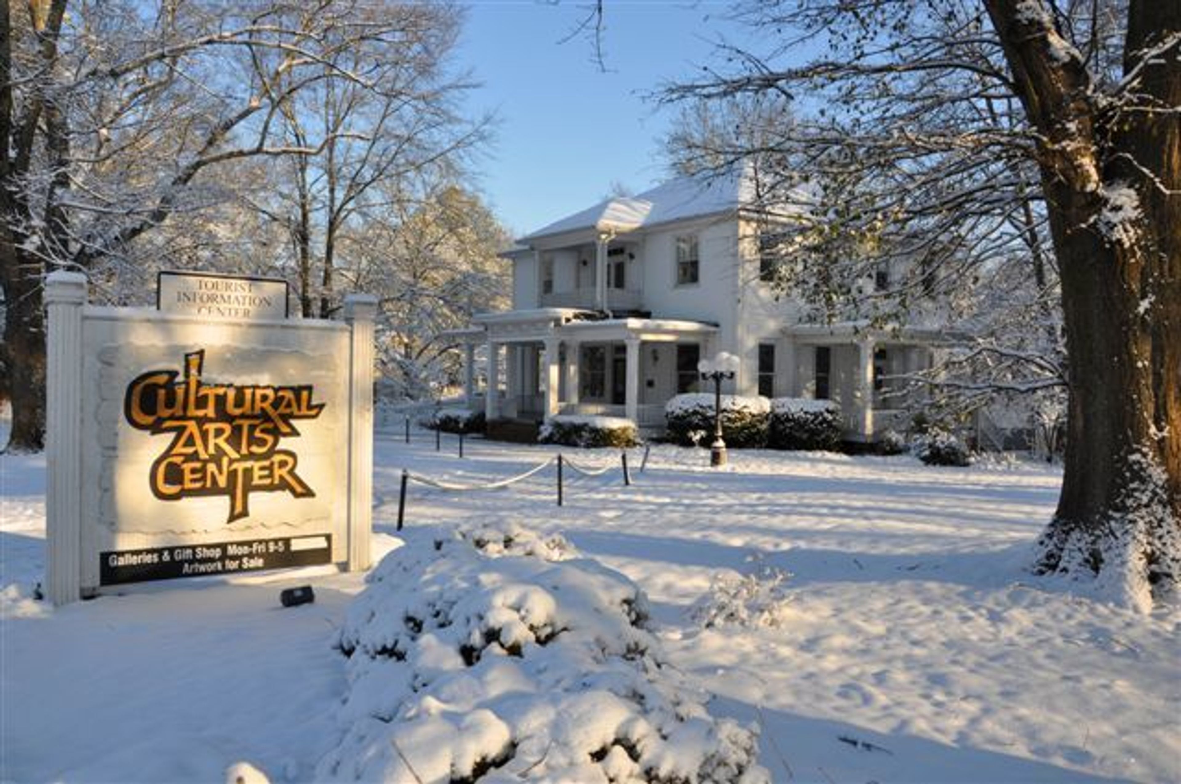 Cover photo of The Cultural Arts Council of Douglasville/Douglas County