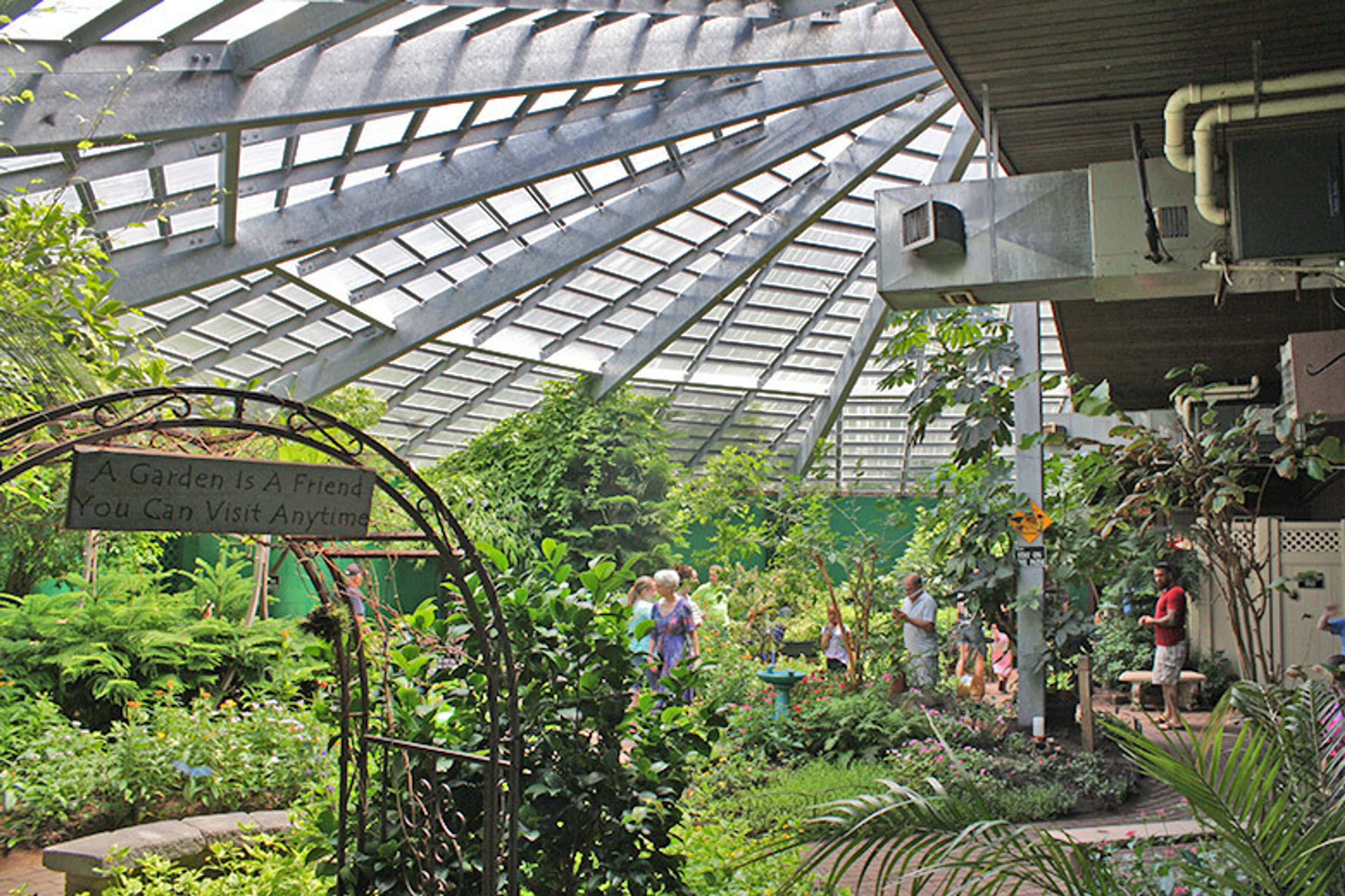 Cover photo of The Butterfly Place