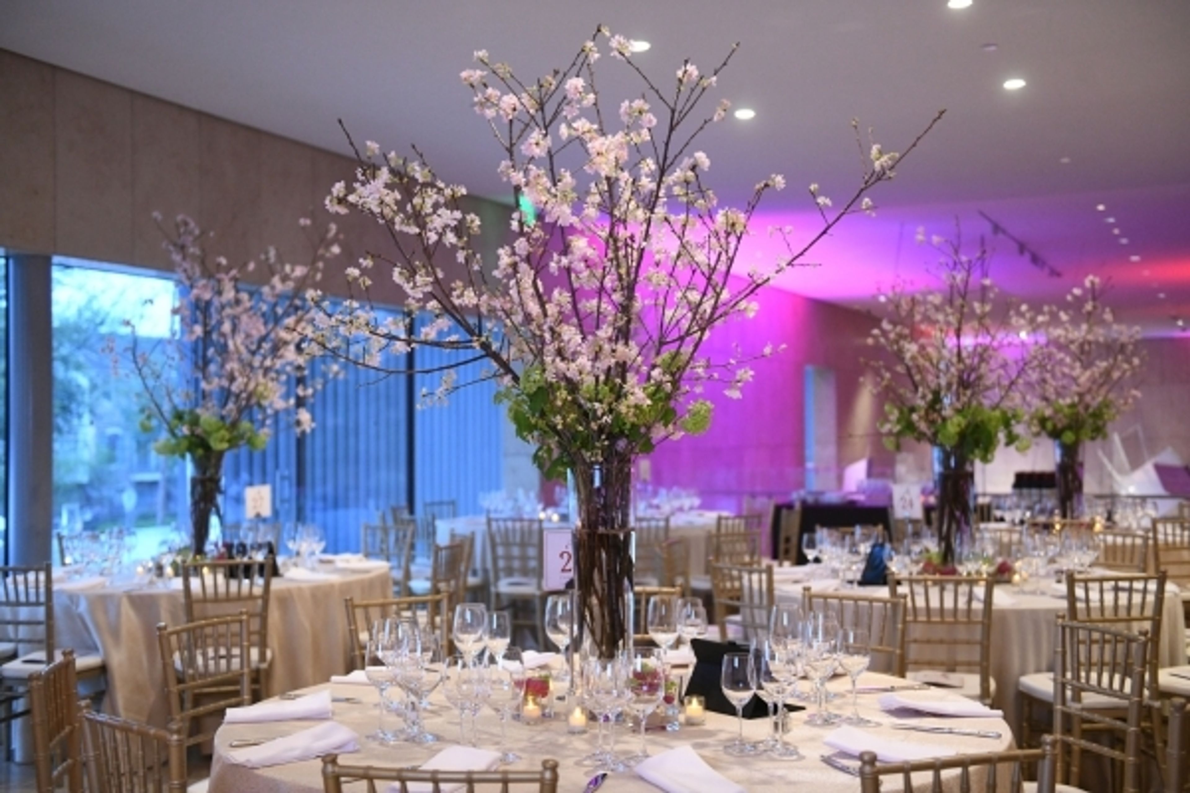 Cover photo of Asia Society Texas Center