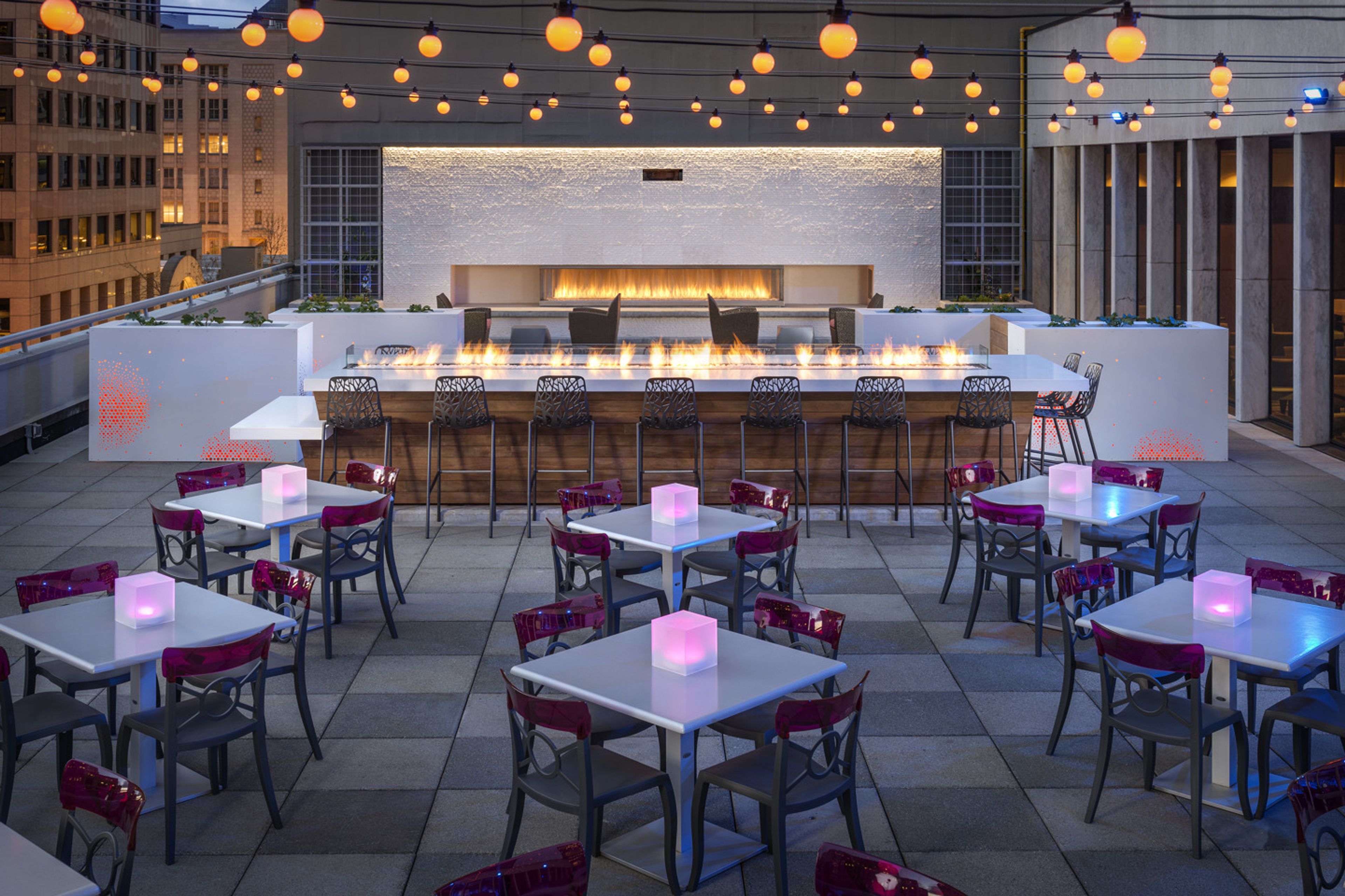 Cover photo of Frolik Kitchen + Cocktails