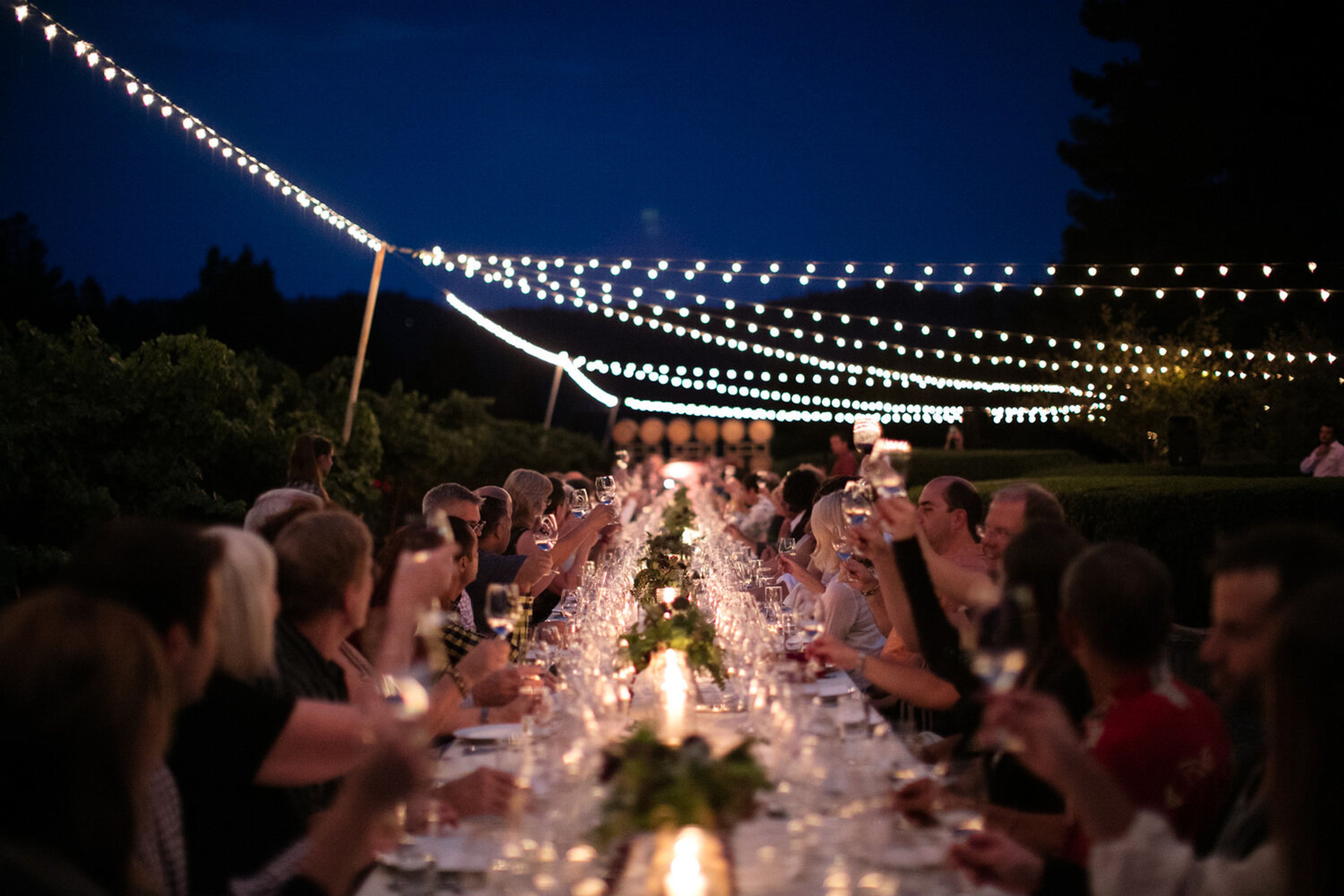 Cover photo of Stag Dining