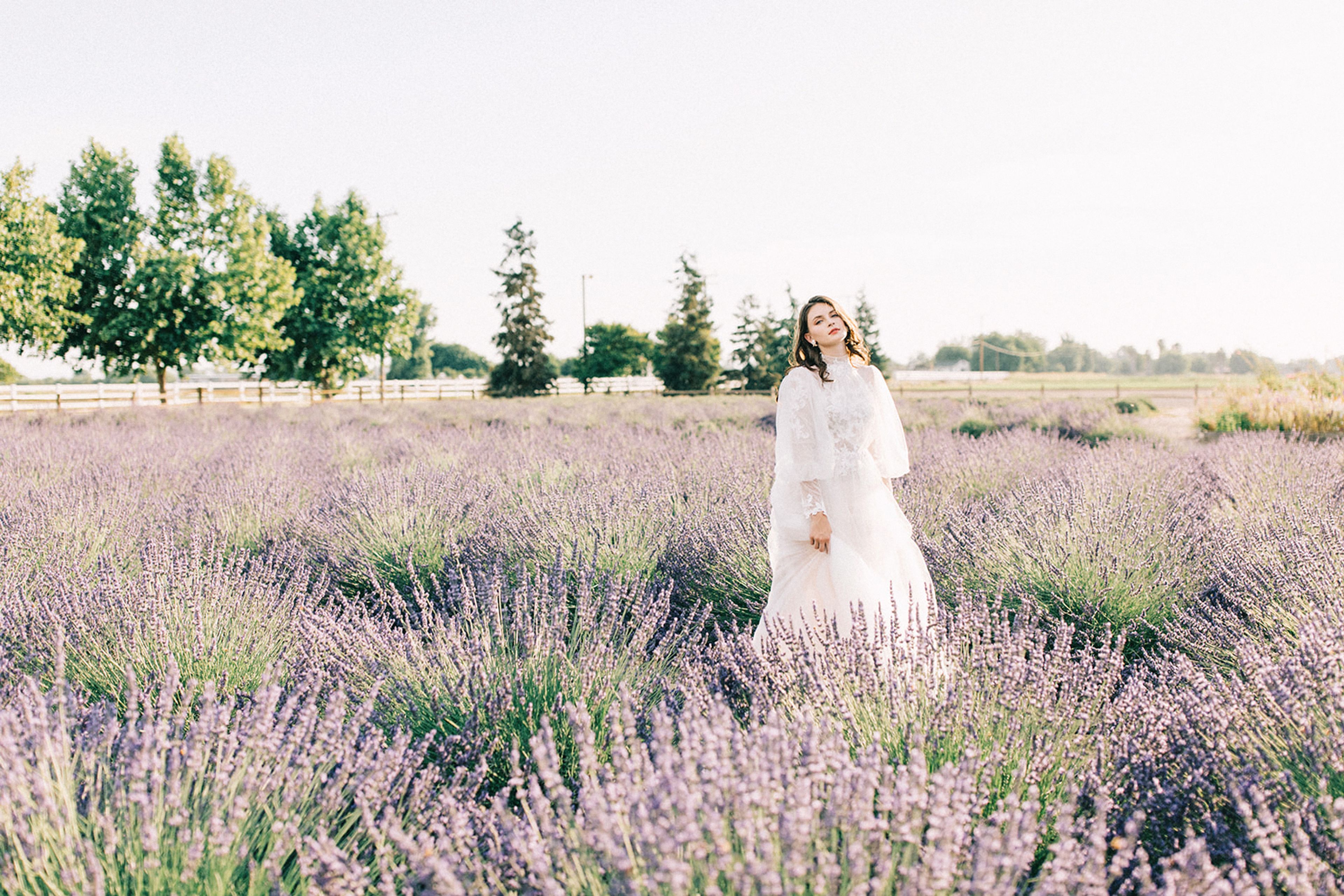 Cover photo of Studio Opia