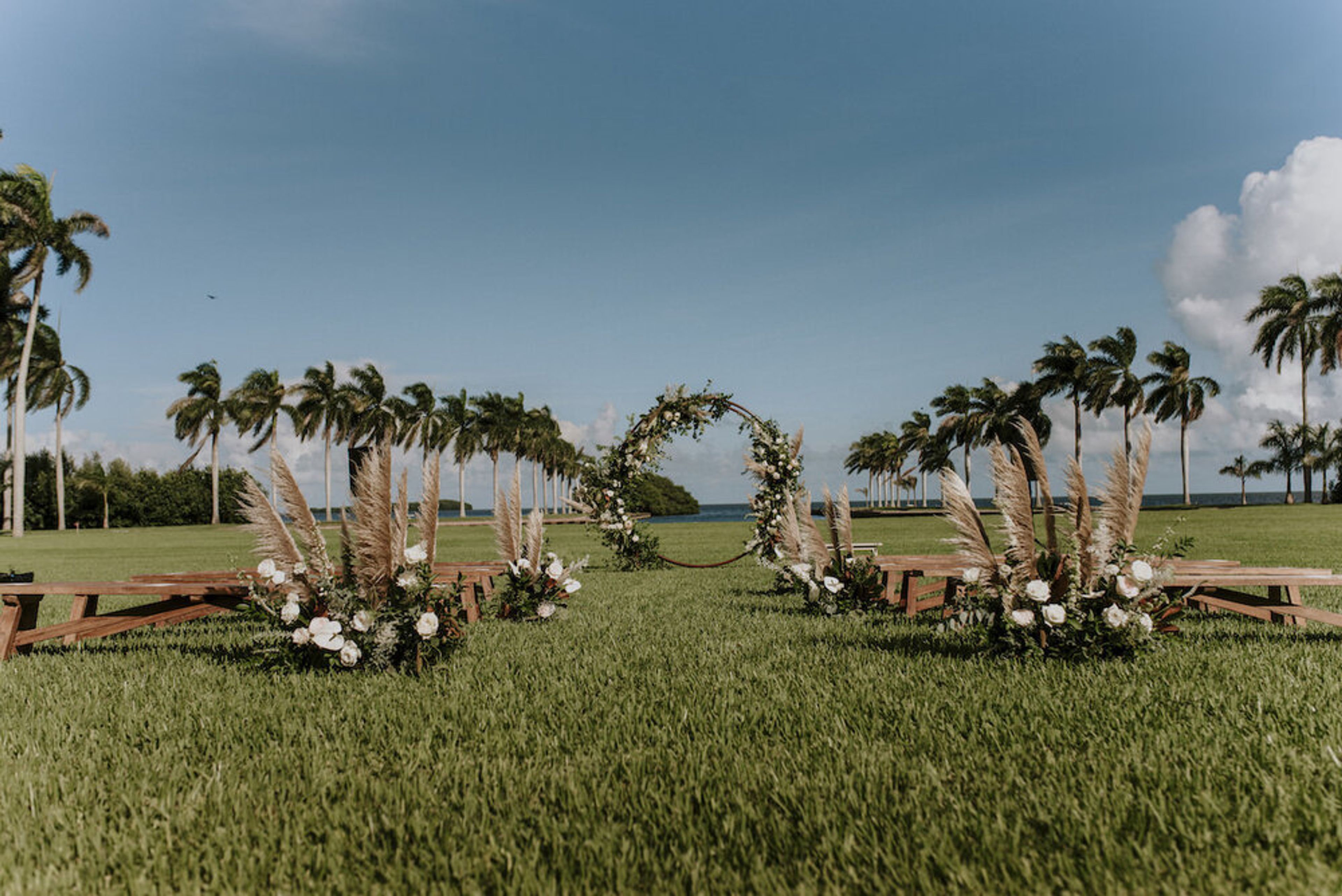 Cover photo of Rose Coloured