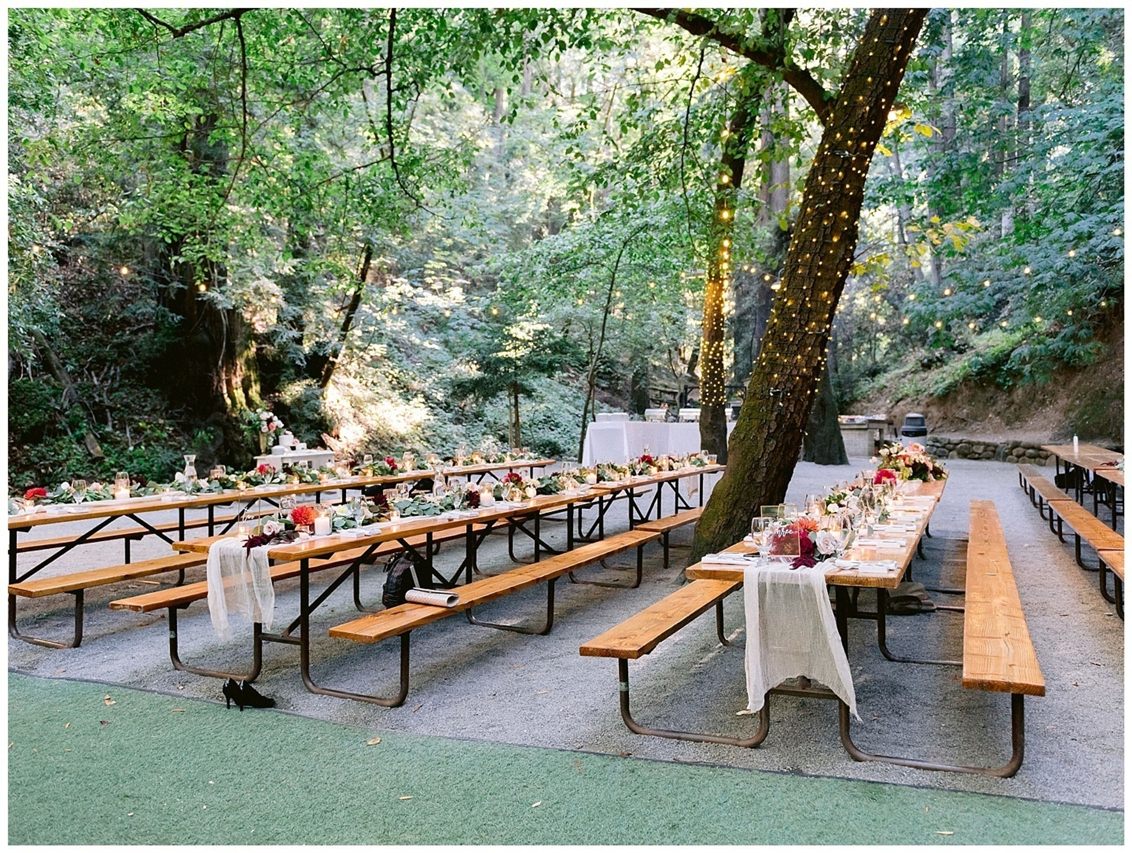 Cover photo of Saratoga Springs