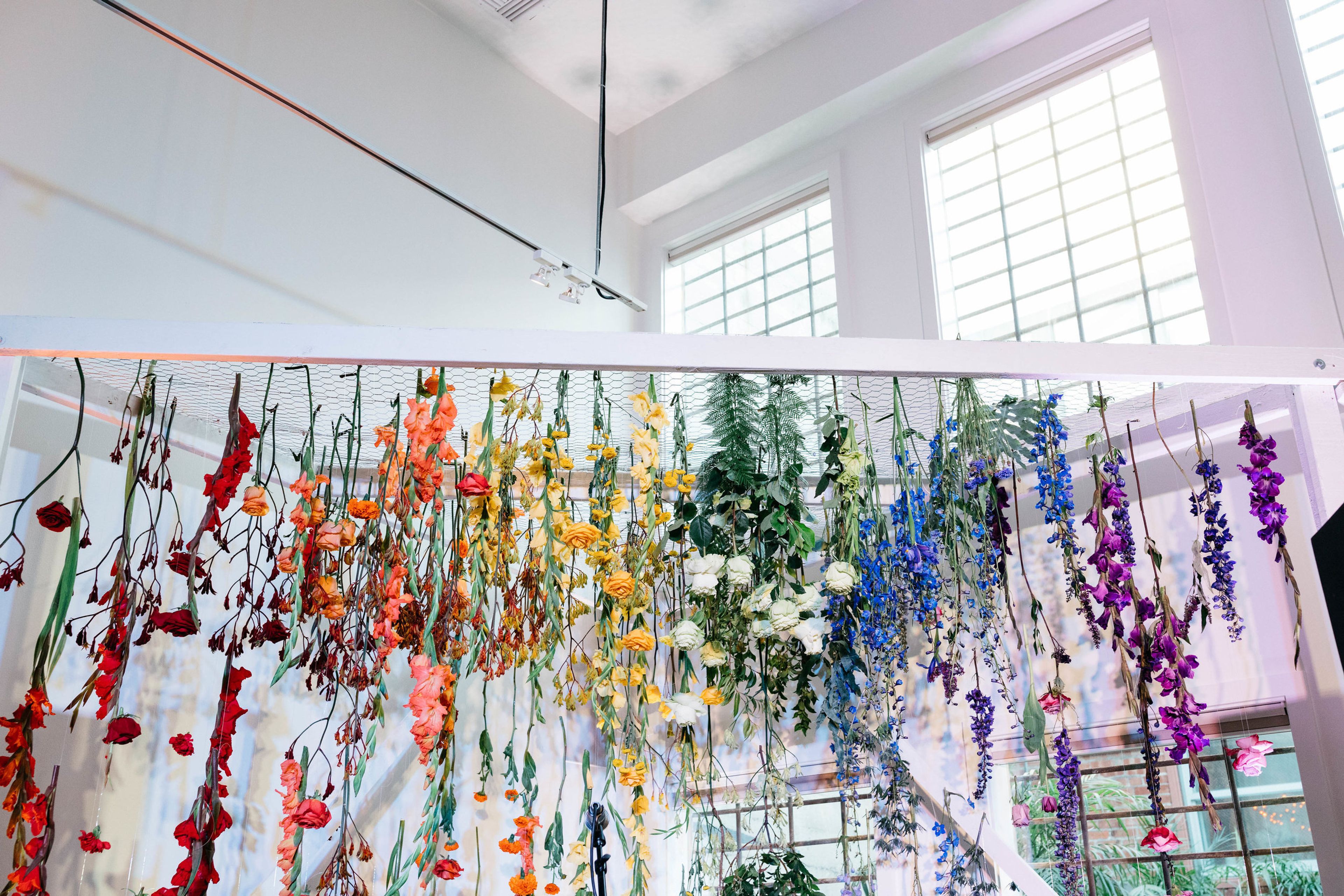 Cover photo of Ampersand