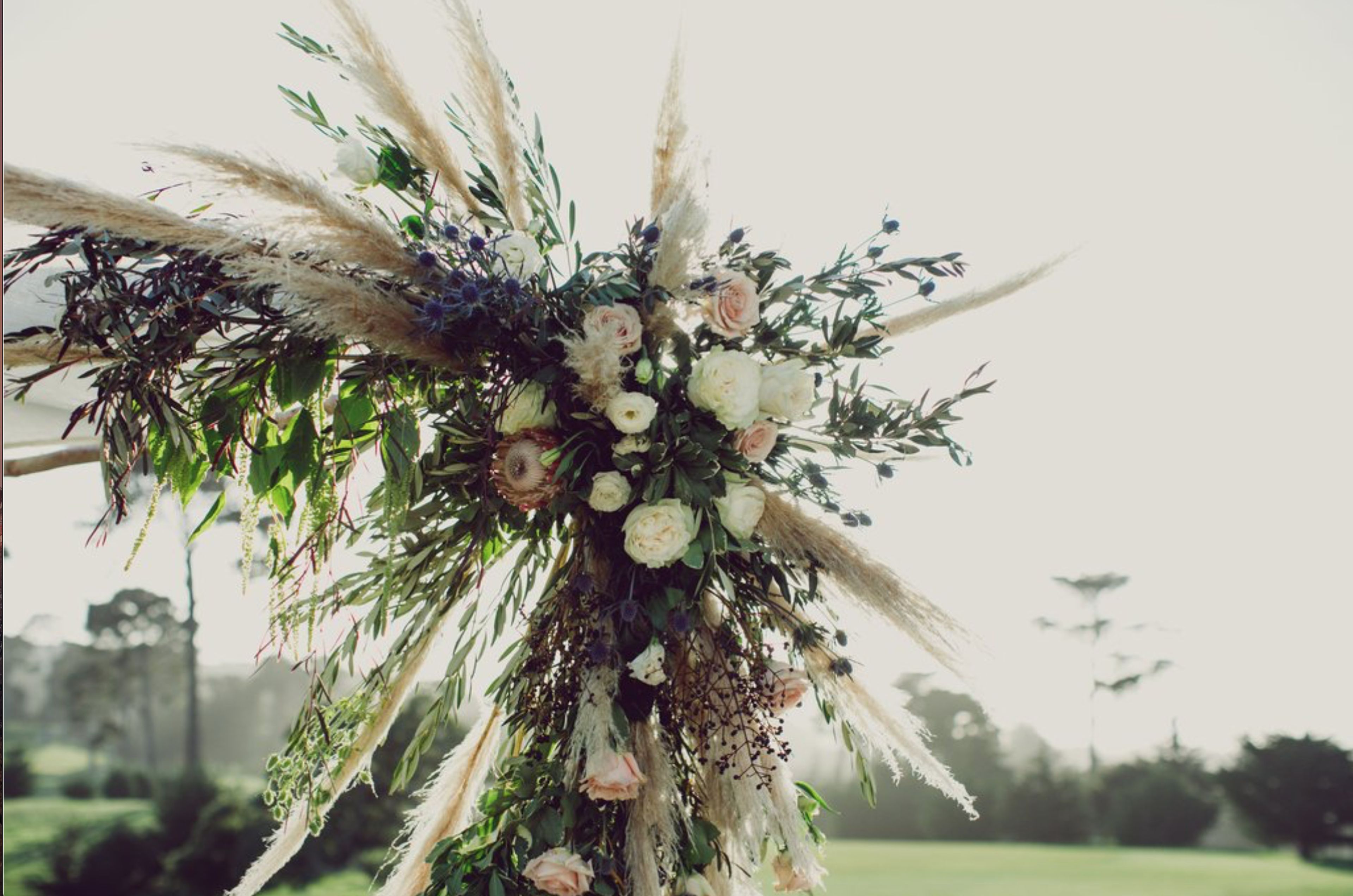 Cover photo of Bell and Trunk Flowers