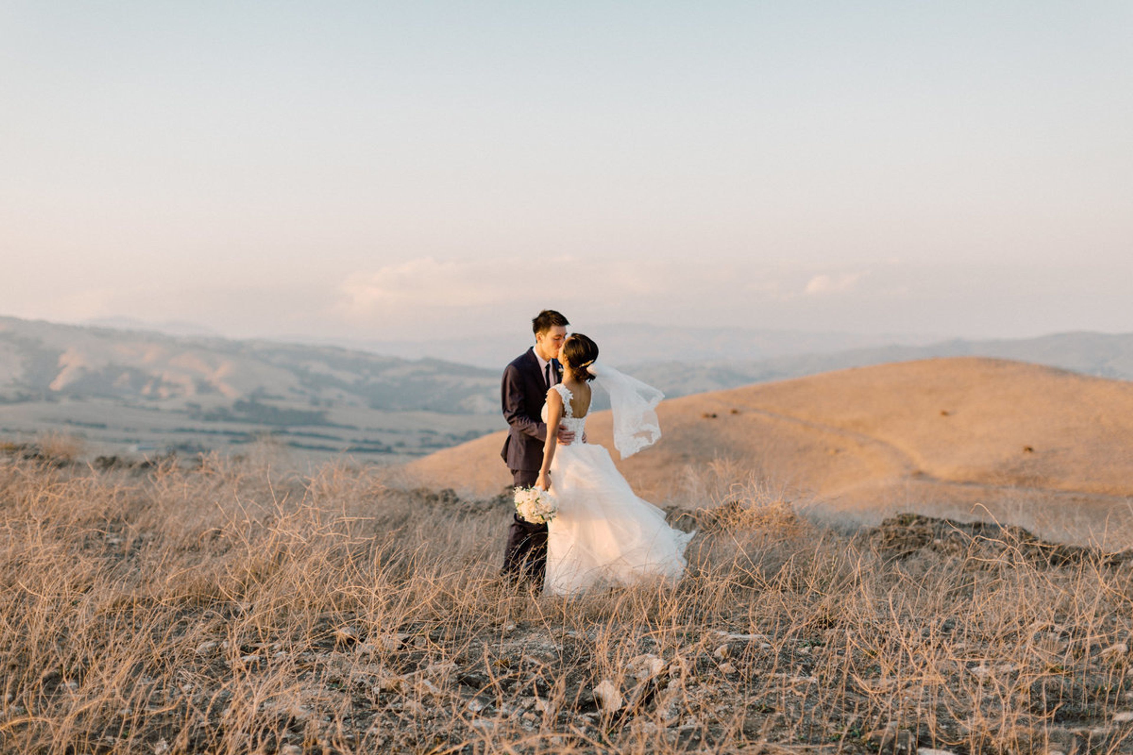 Cover photo of Nella Terra Cellars