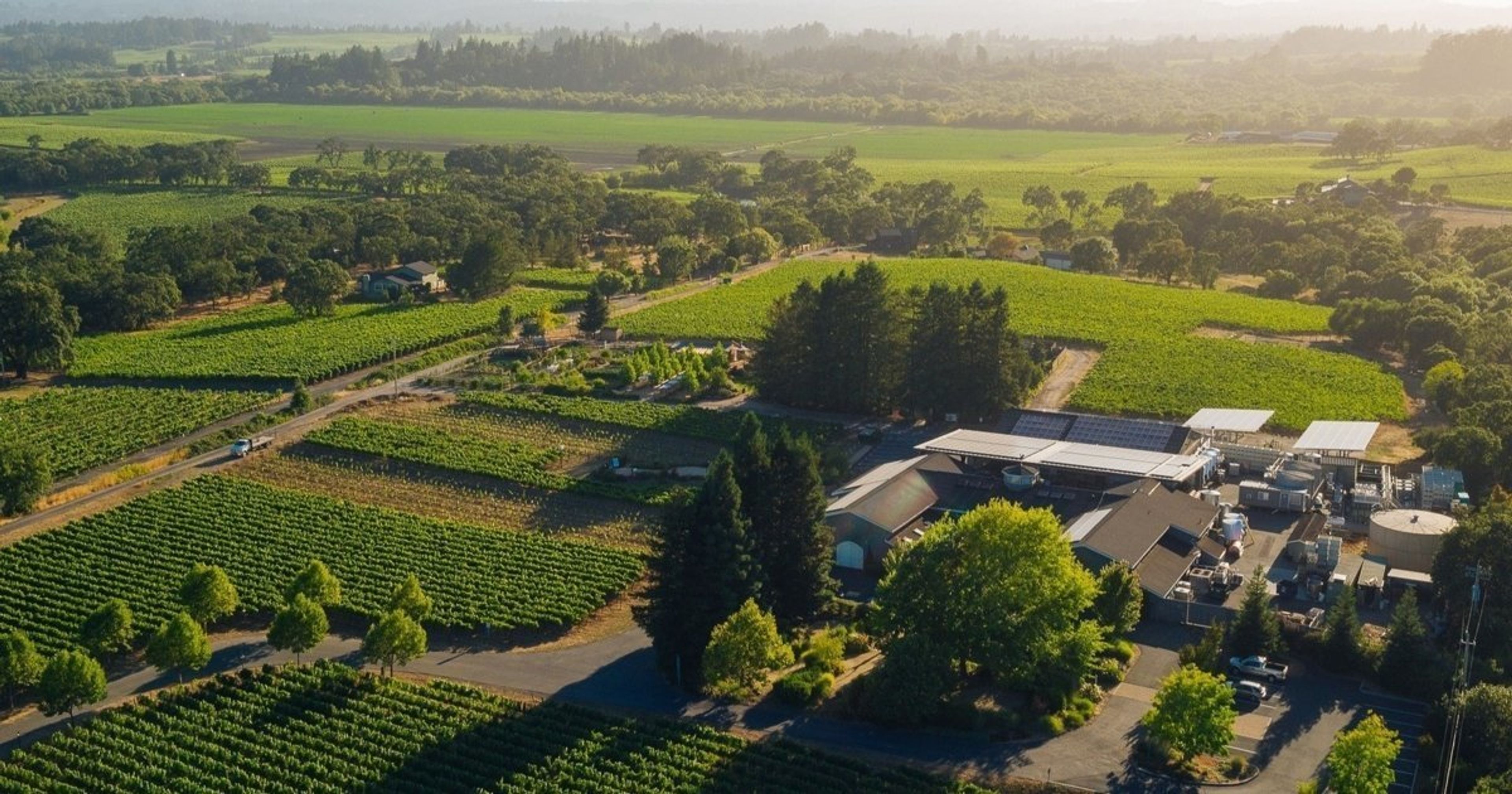 Cover photo of DeLoach Vineyards