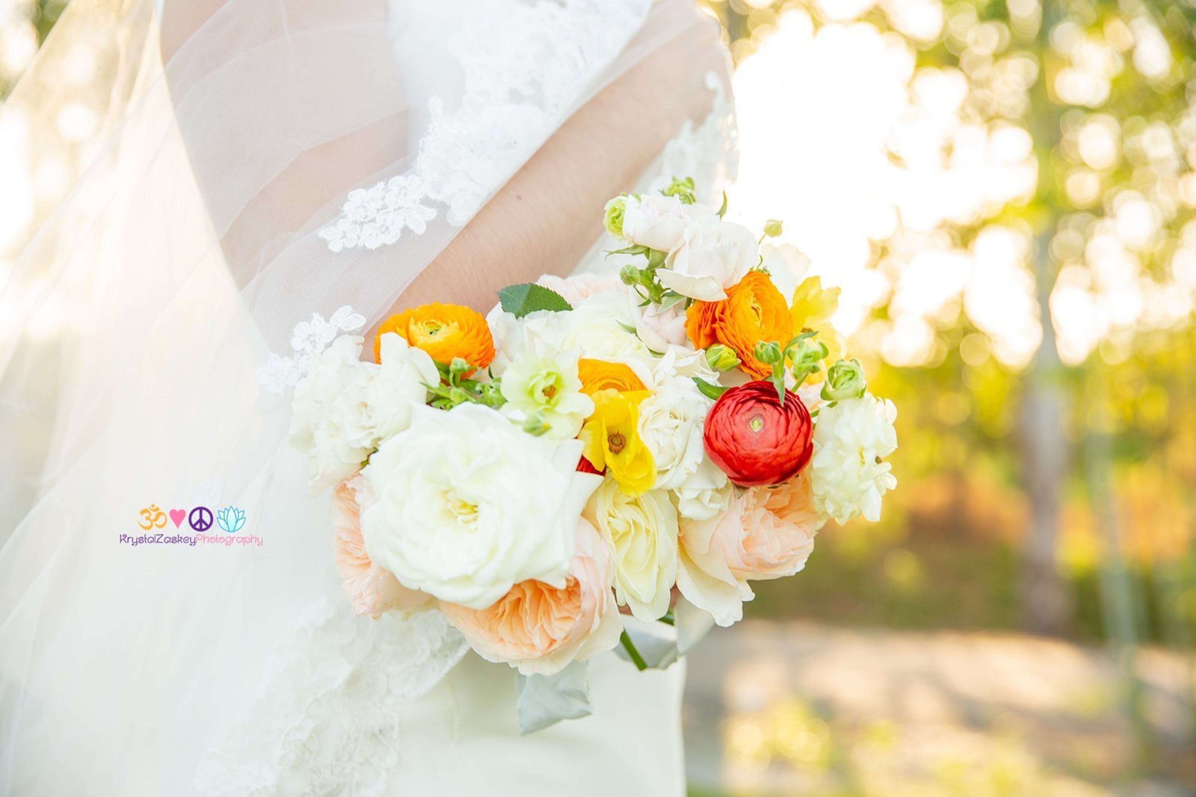 Cover photo of Krystal Zaskey Photography