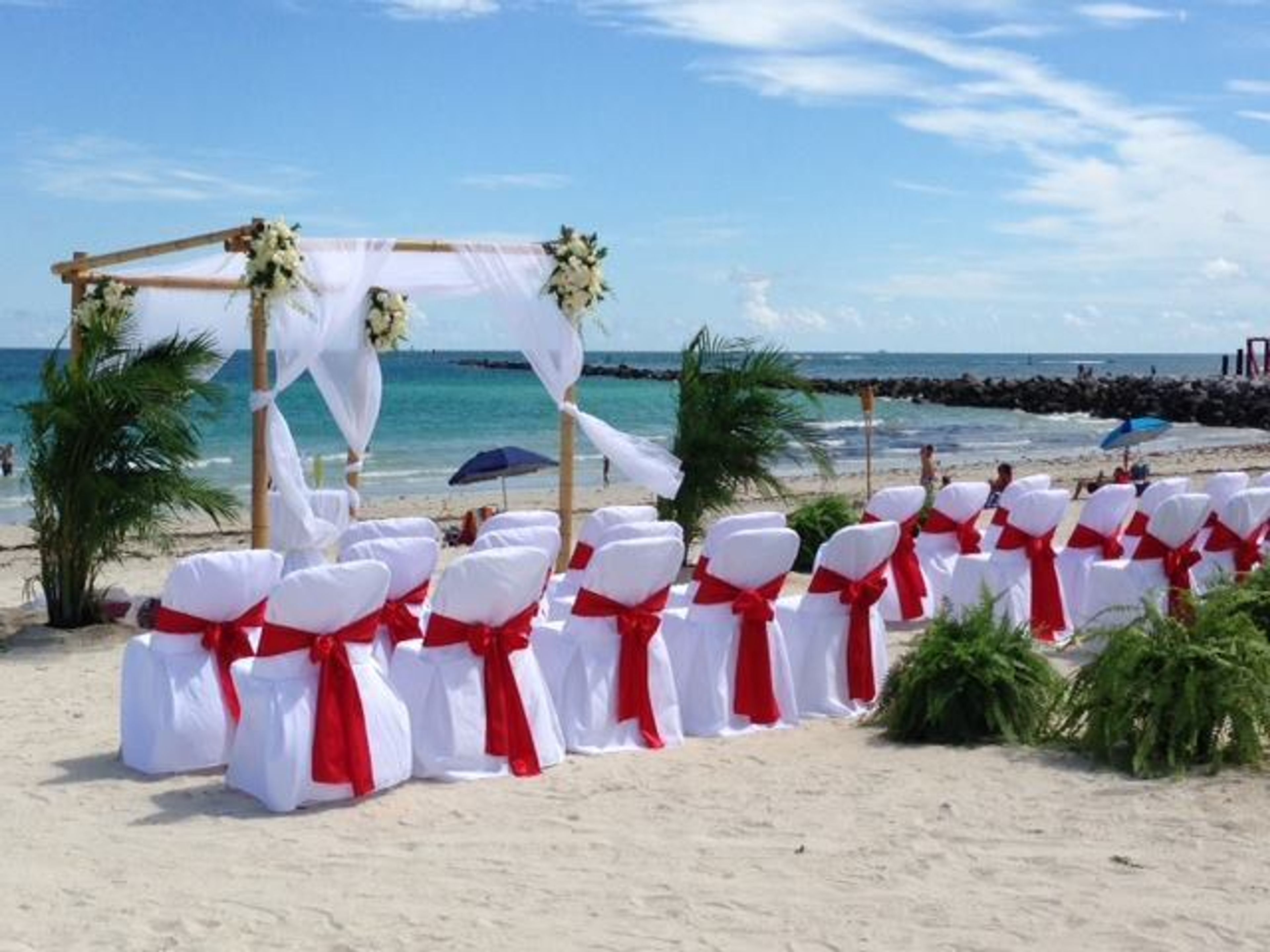 Cover photo of More Than Flowers